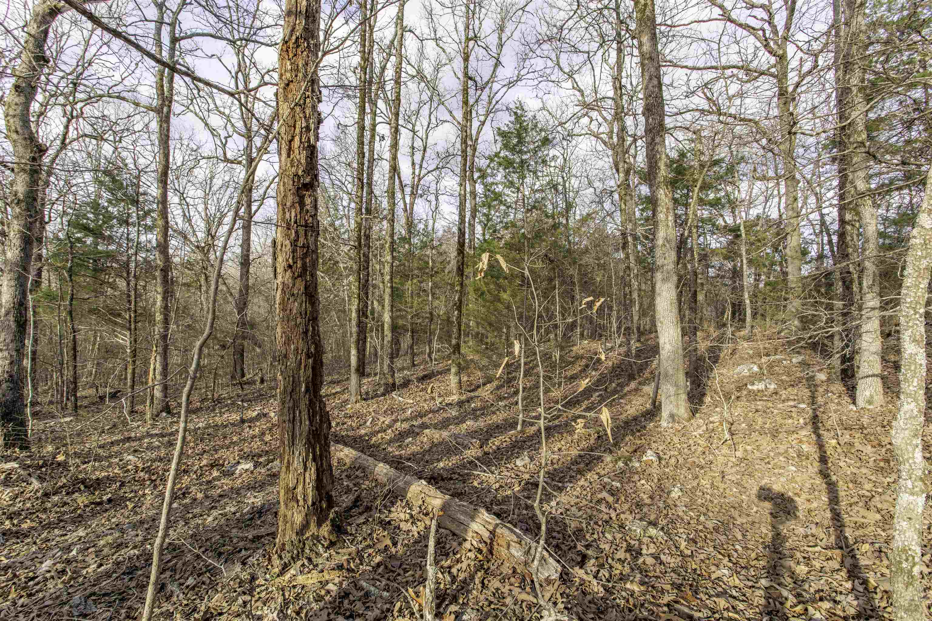 TBD  Oak Ridge  Hardy, AR