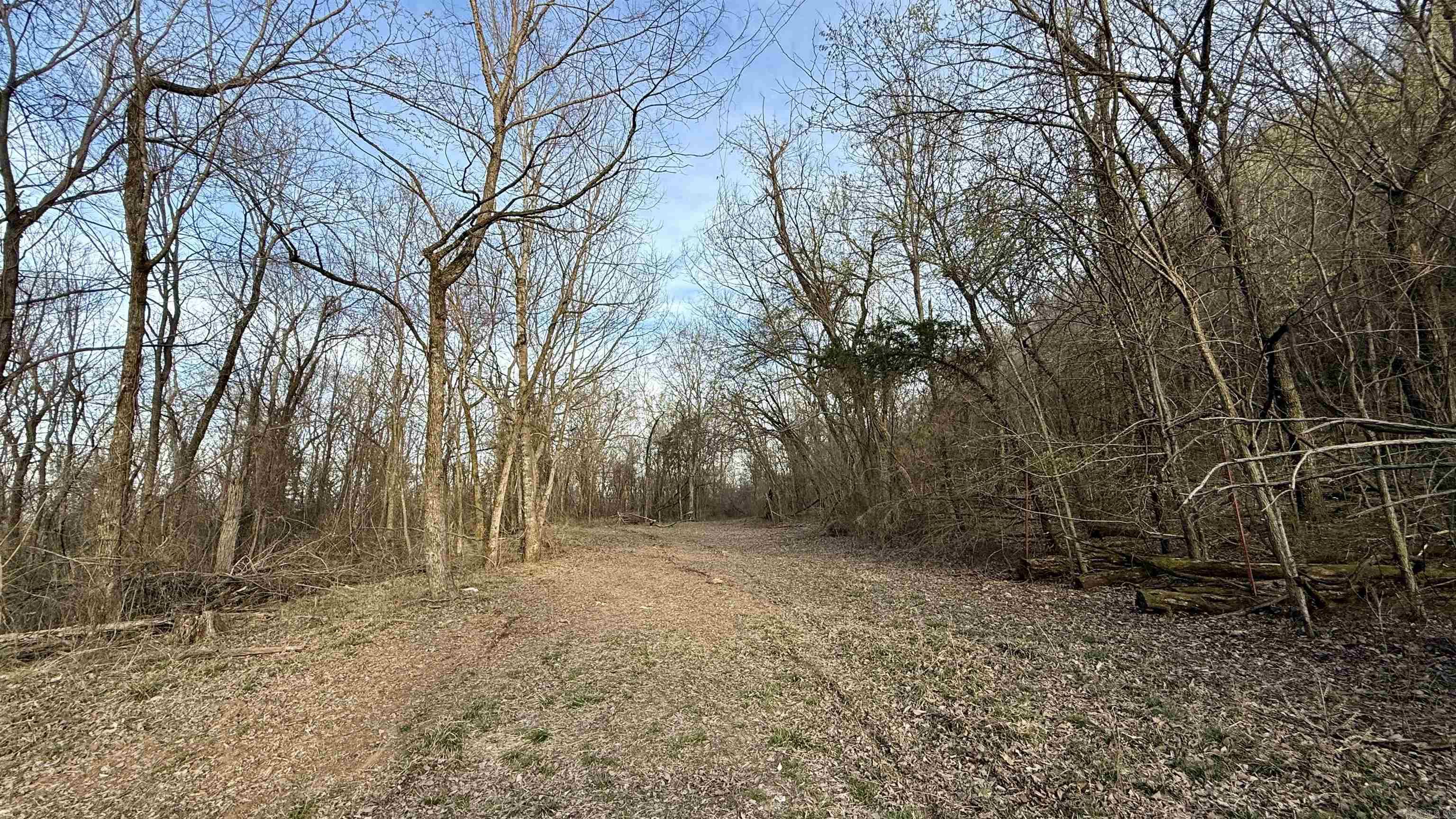 2554  Punkin Flat  Marshall, AR