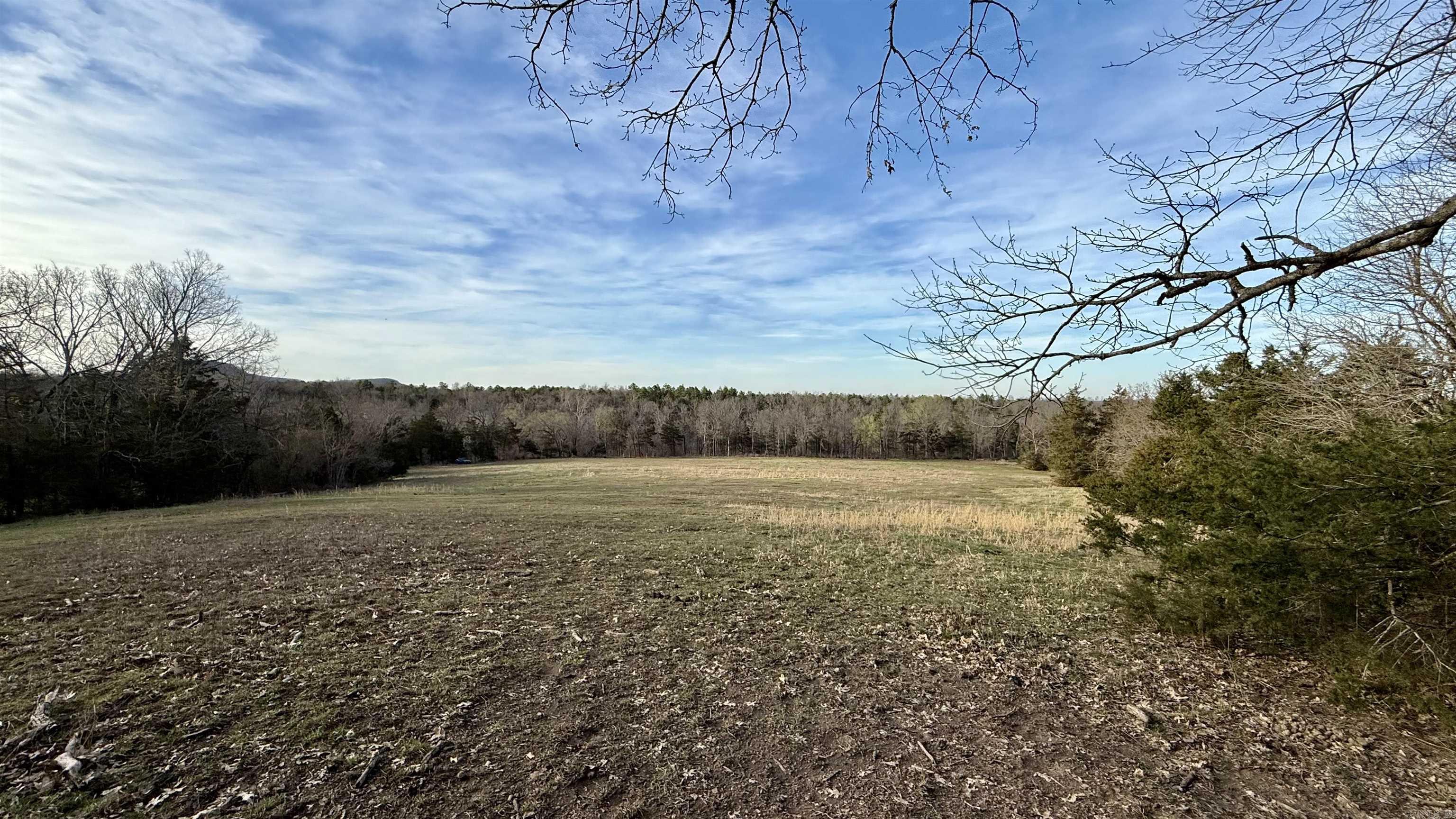 2554  Punkin Flat  Marshall, AR