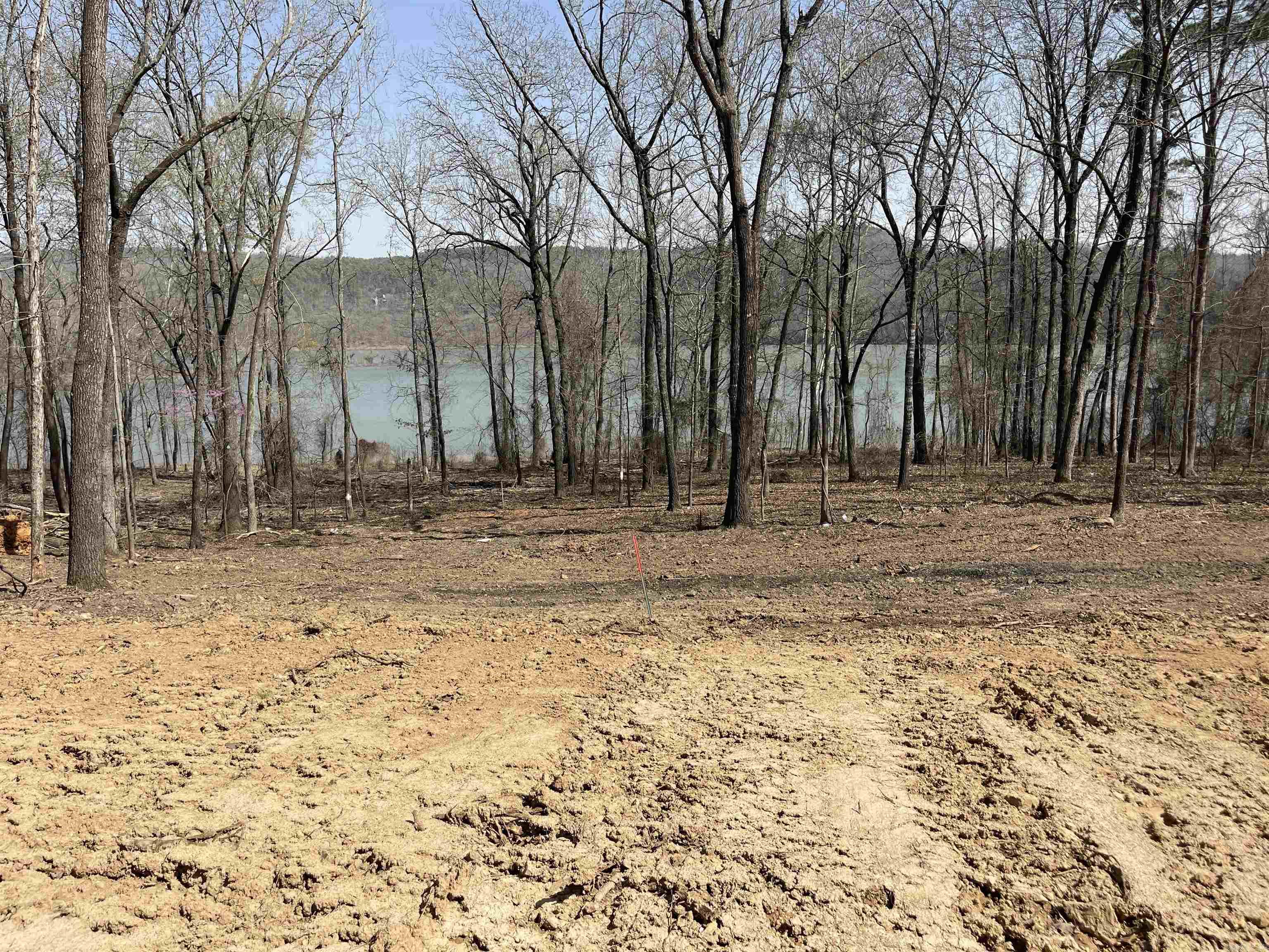 530 Lower Ridge Circle Edgemont, AR 72044