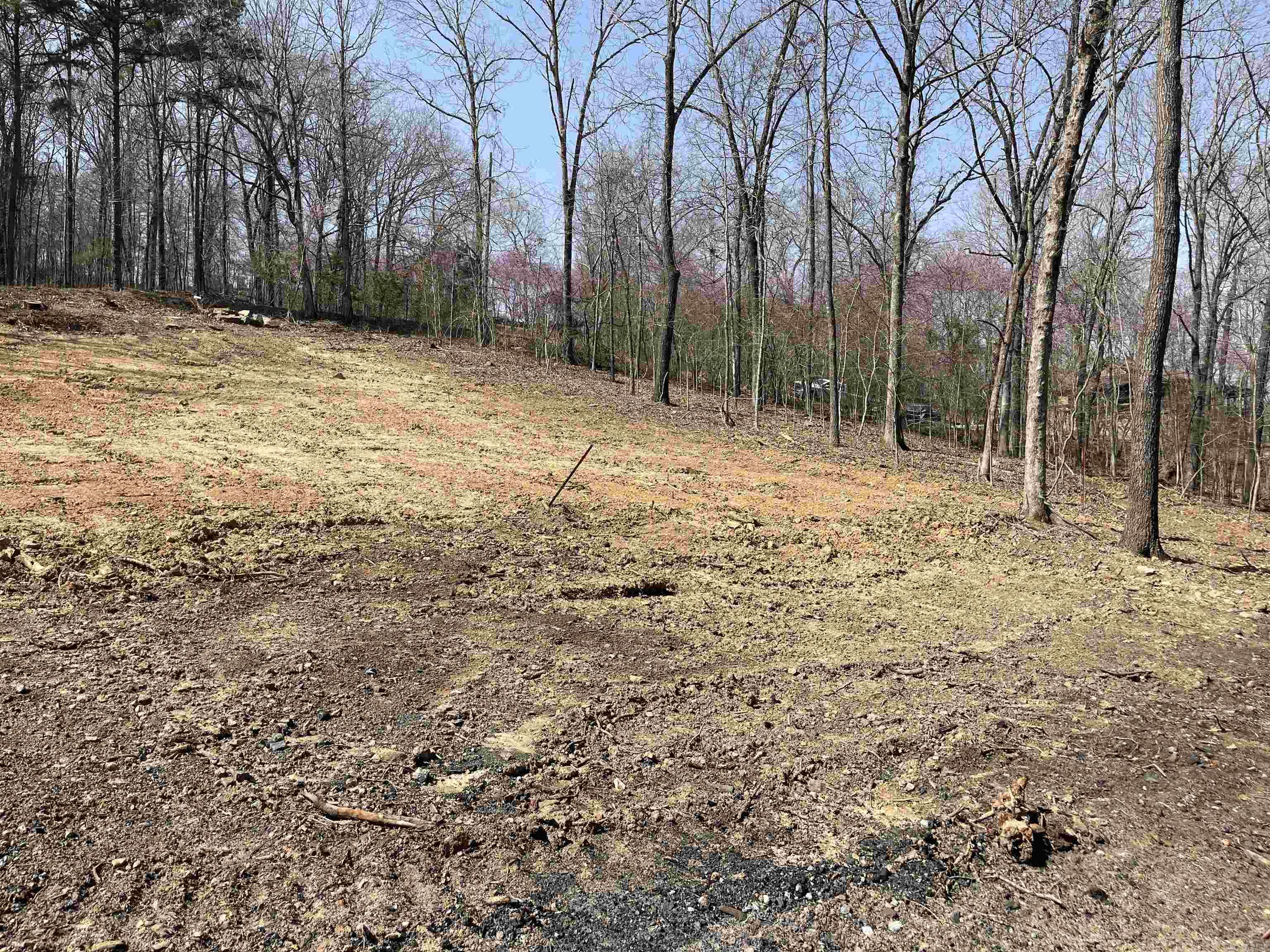 530 Lower Ridge Circle Edgemont, AR 72044