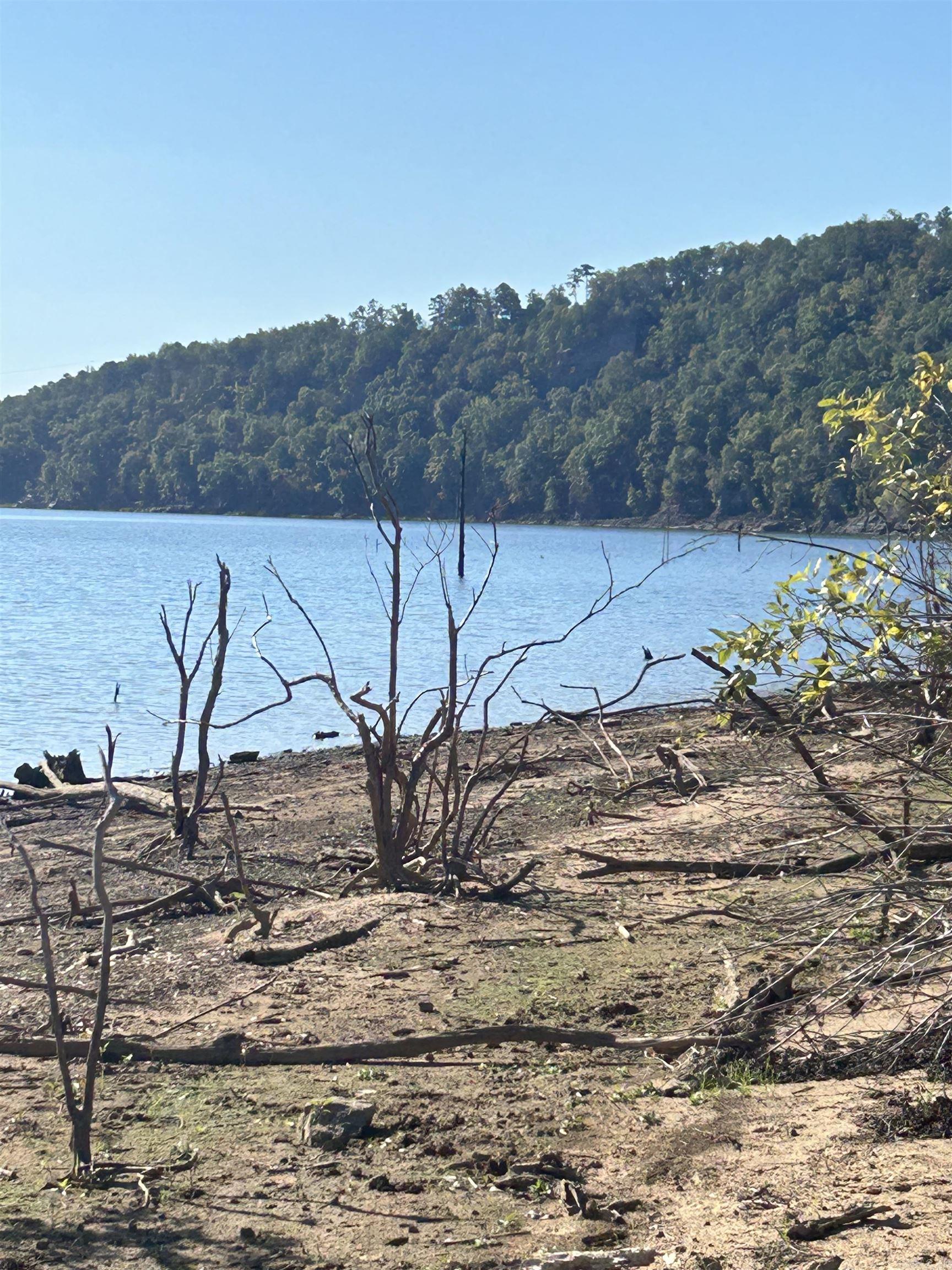 530 Lower Ridge Circle Edgemont, AR 72044