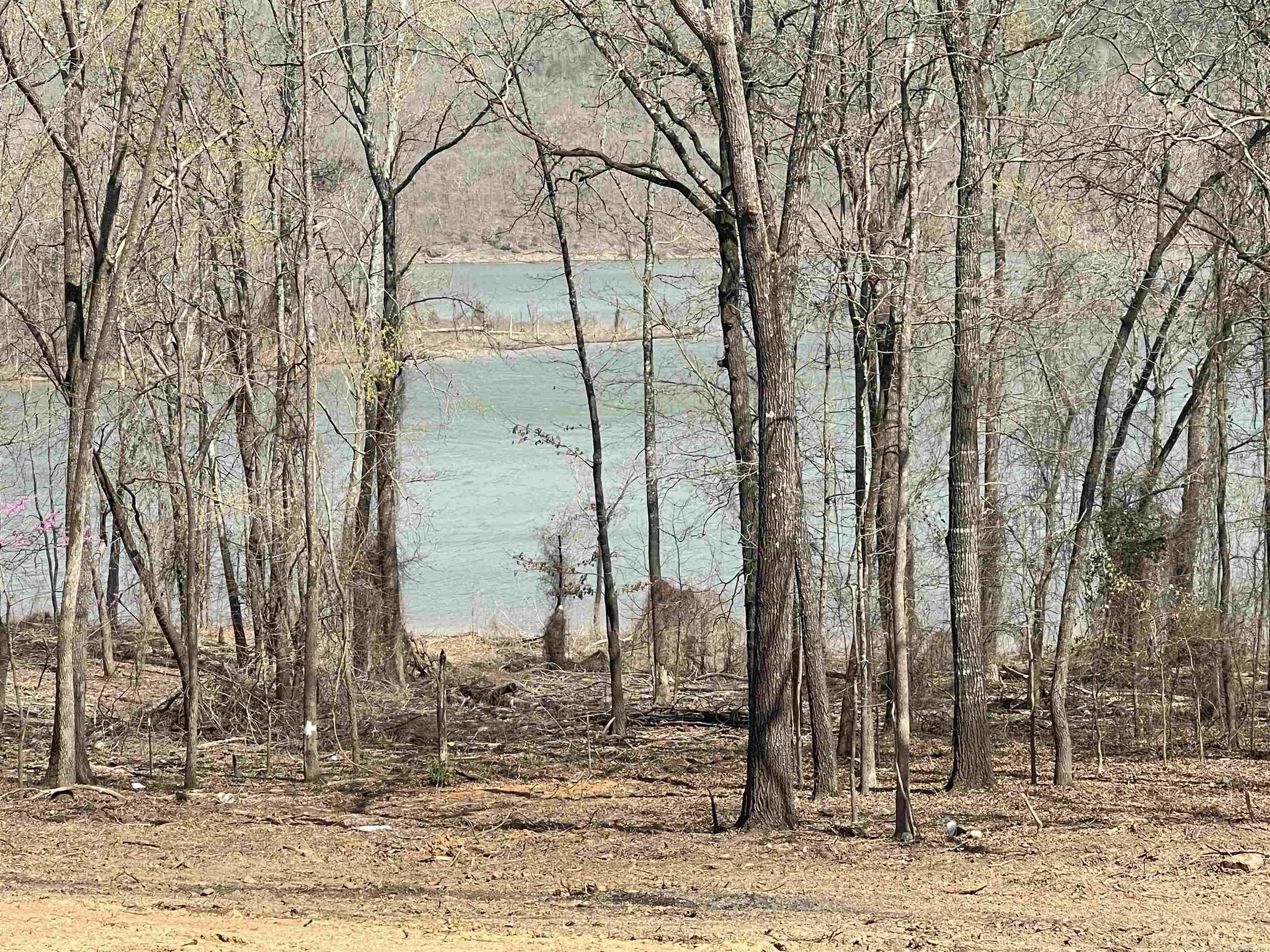 530 Lower Ridge Circle Edgemont, AR 72044
