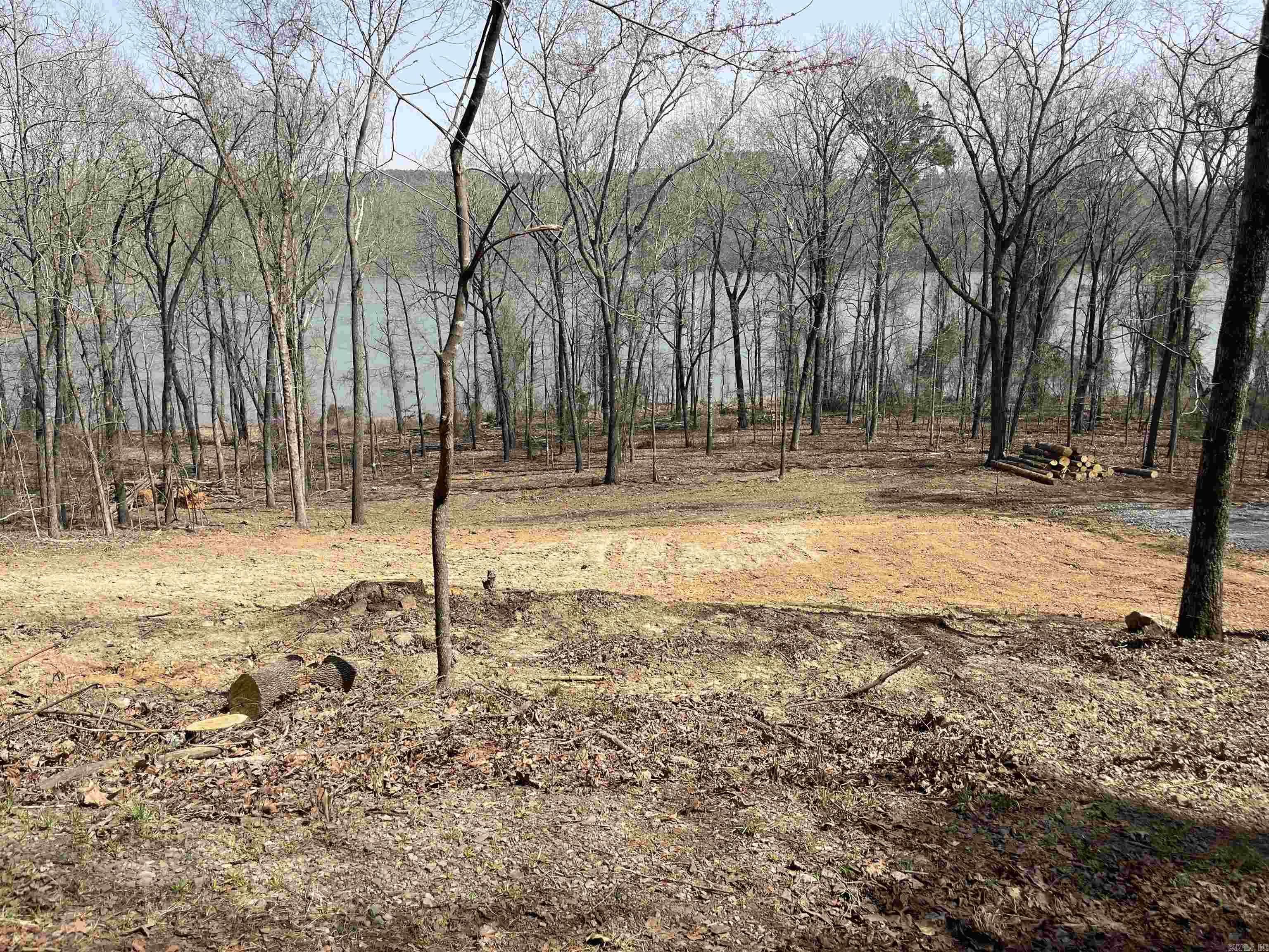 530 Lower Ridge Circle Edgemont, AR 72044