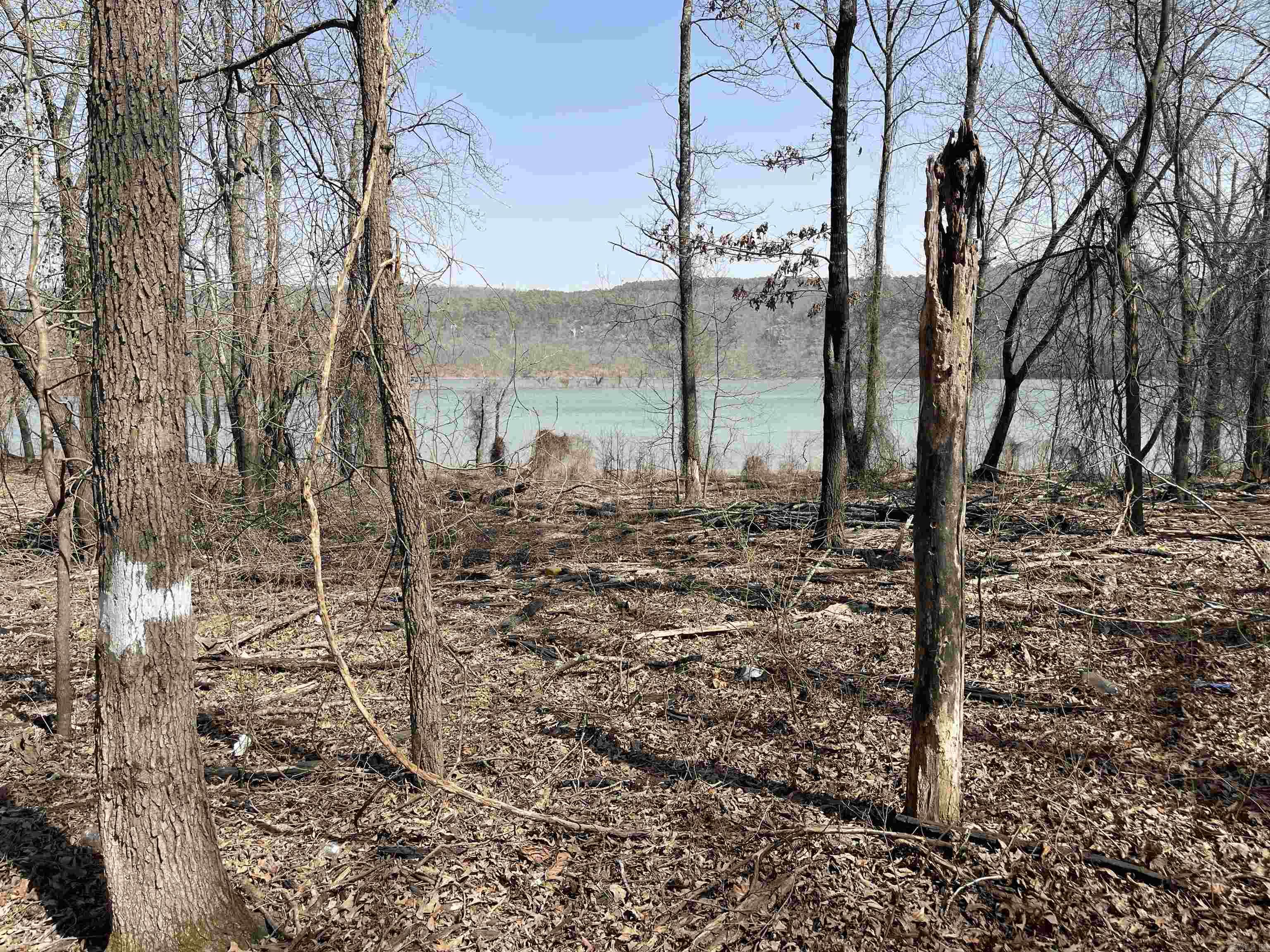 530 Lower Ridge Circle Edgemont, AR 72044
