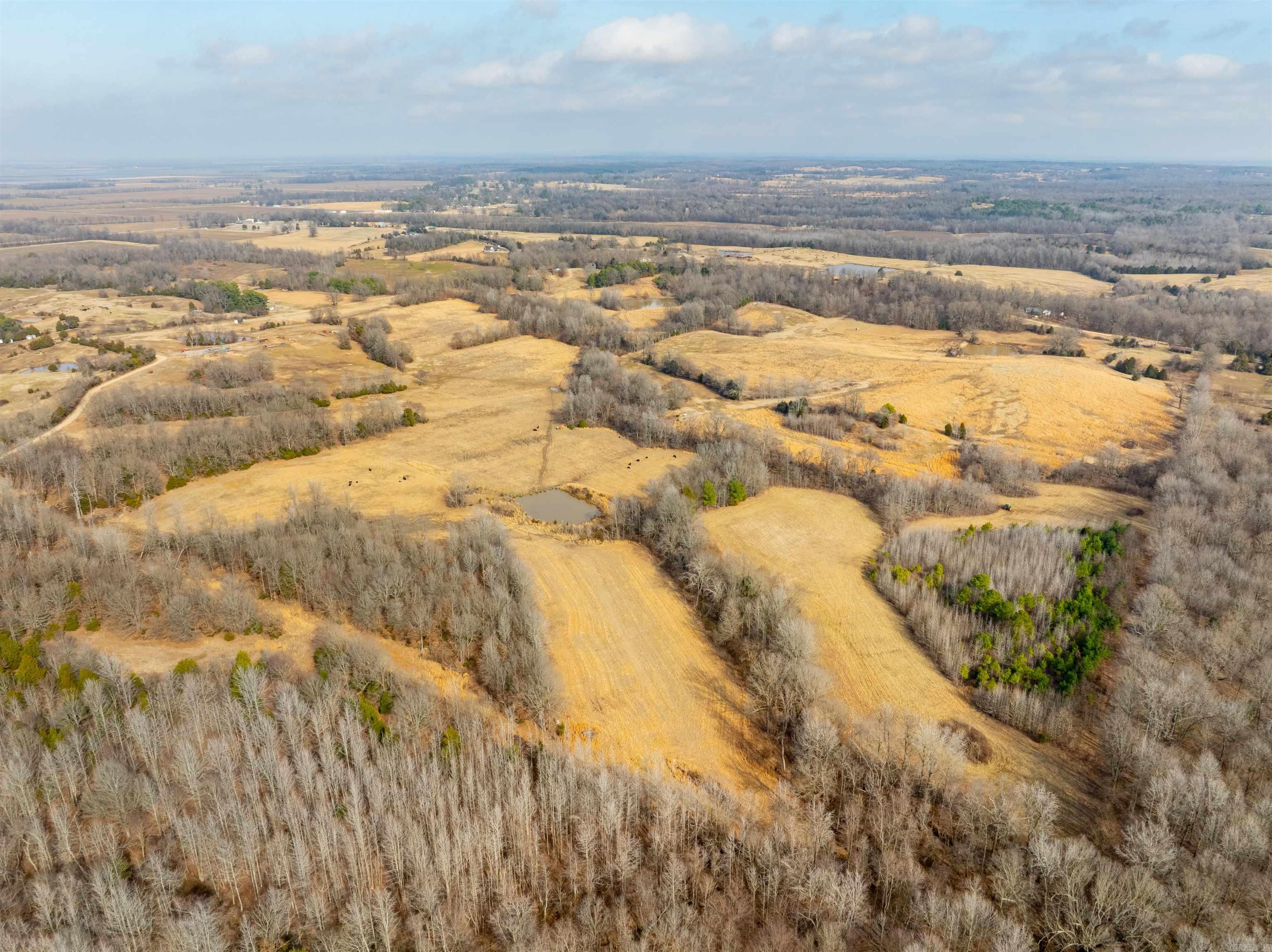 0  Clay 460 Rd  Piggott, AR