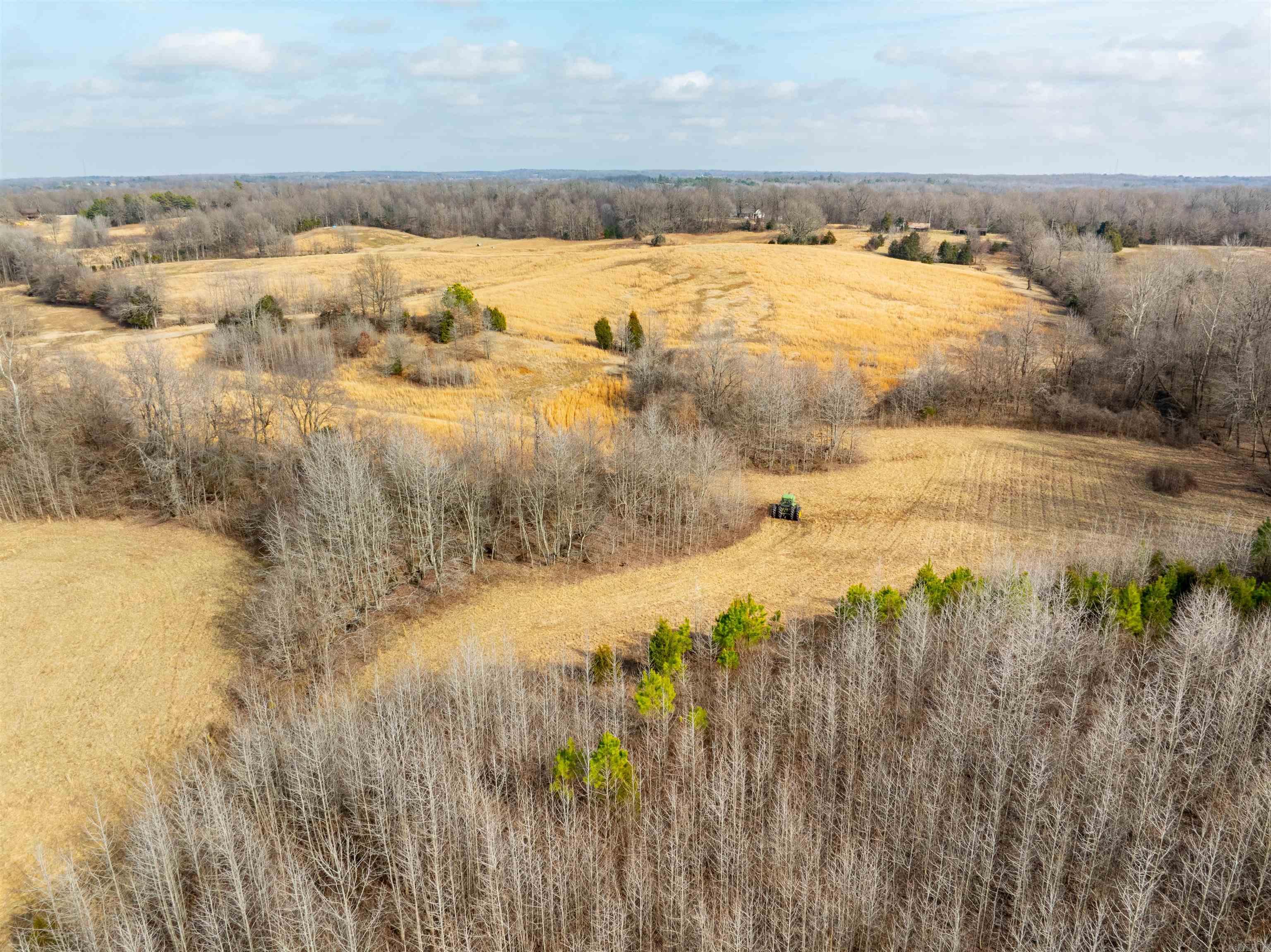 0  Clay 460 Rd  Piggott, AR