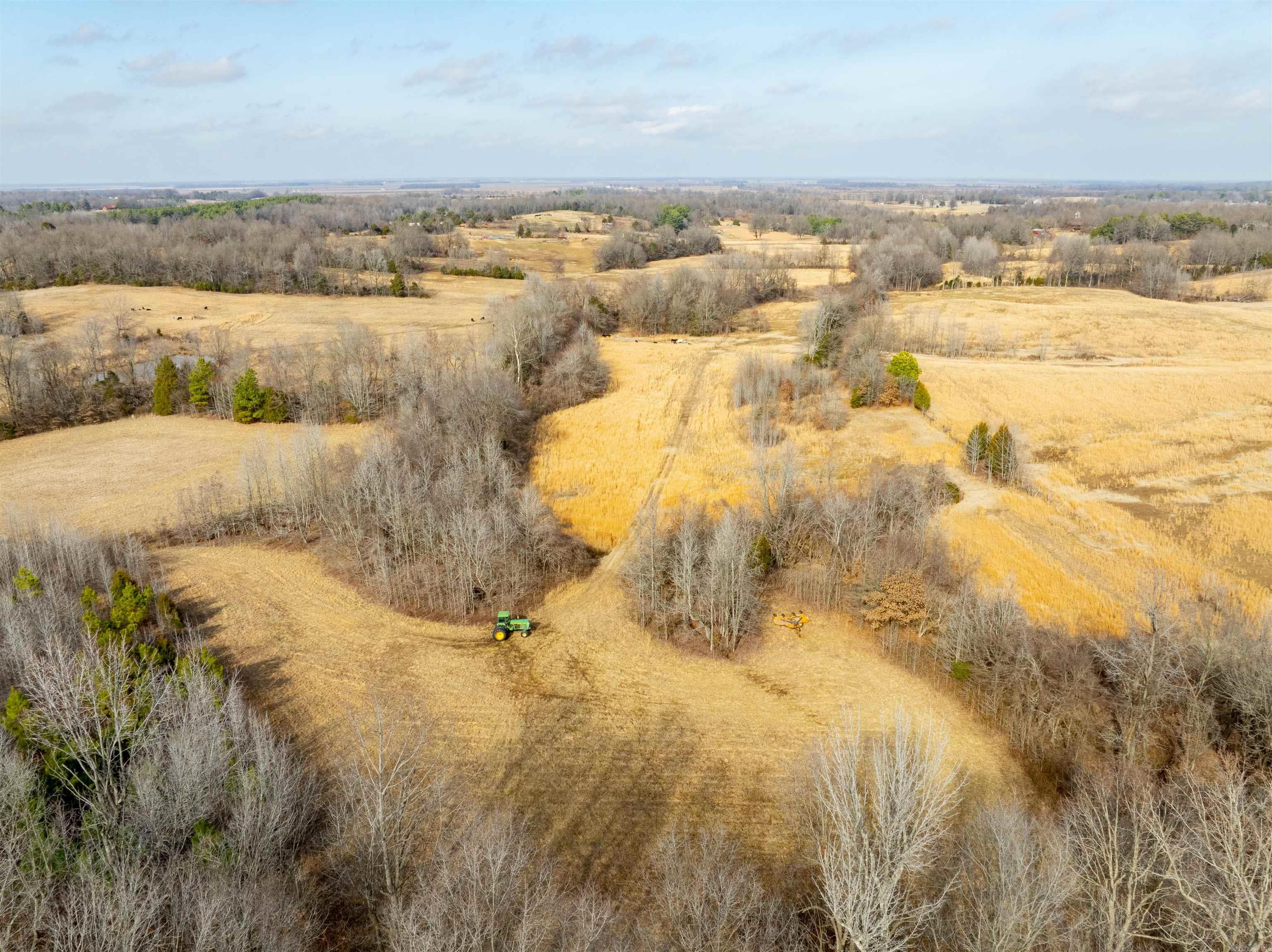 0  Clay 460 Rd  Piggott, AR