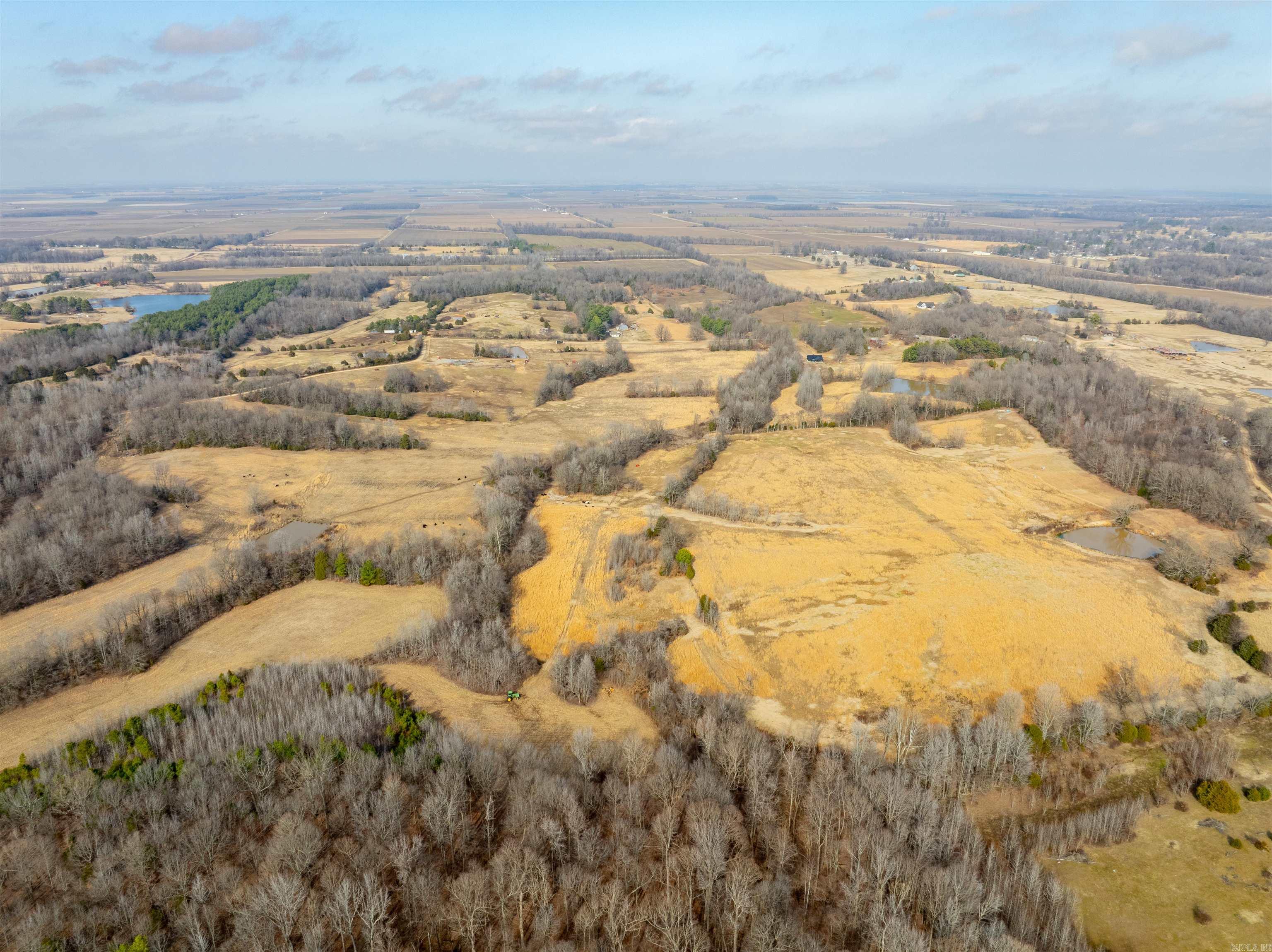 0  Clay 460 Rd  Piggott, AR