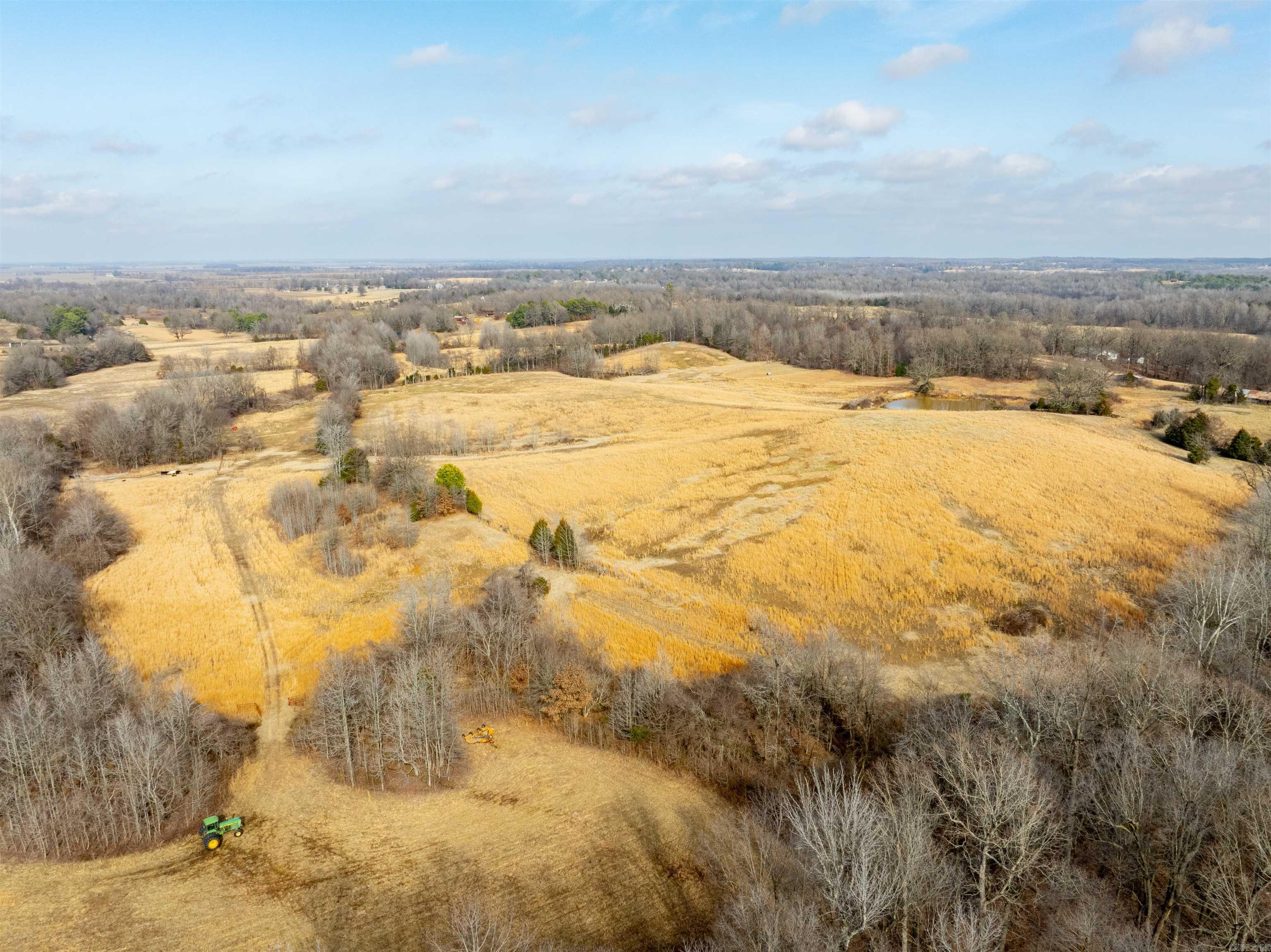 0  Clay 460 Rd  Piggott, AR