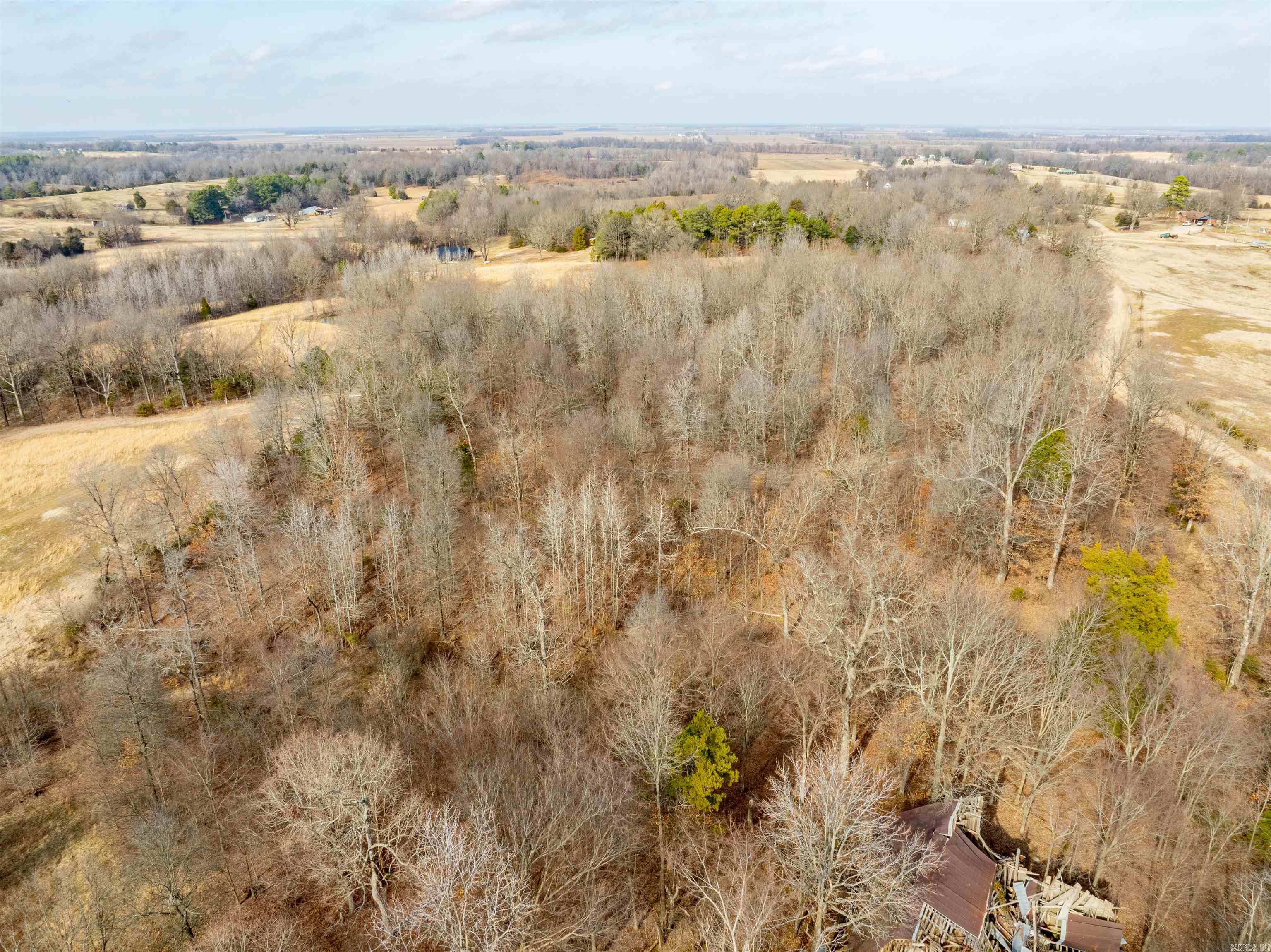 0  Clay 460 Rd  Piggott, AR
