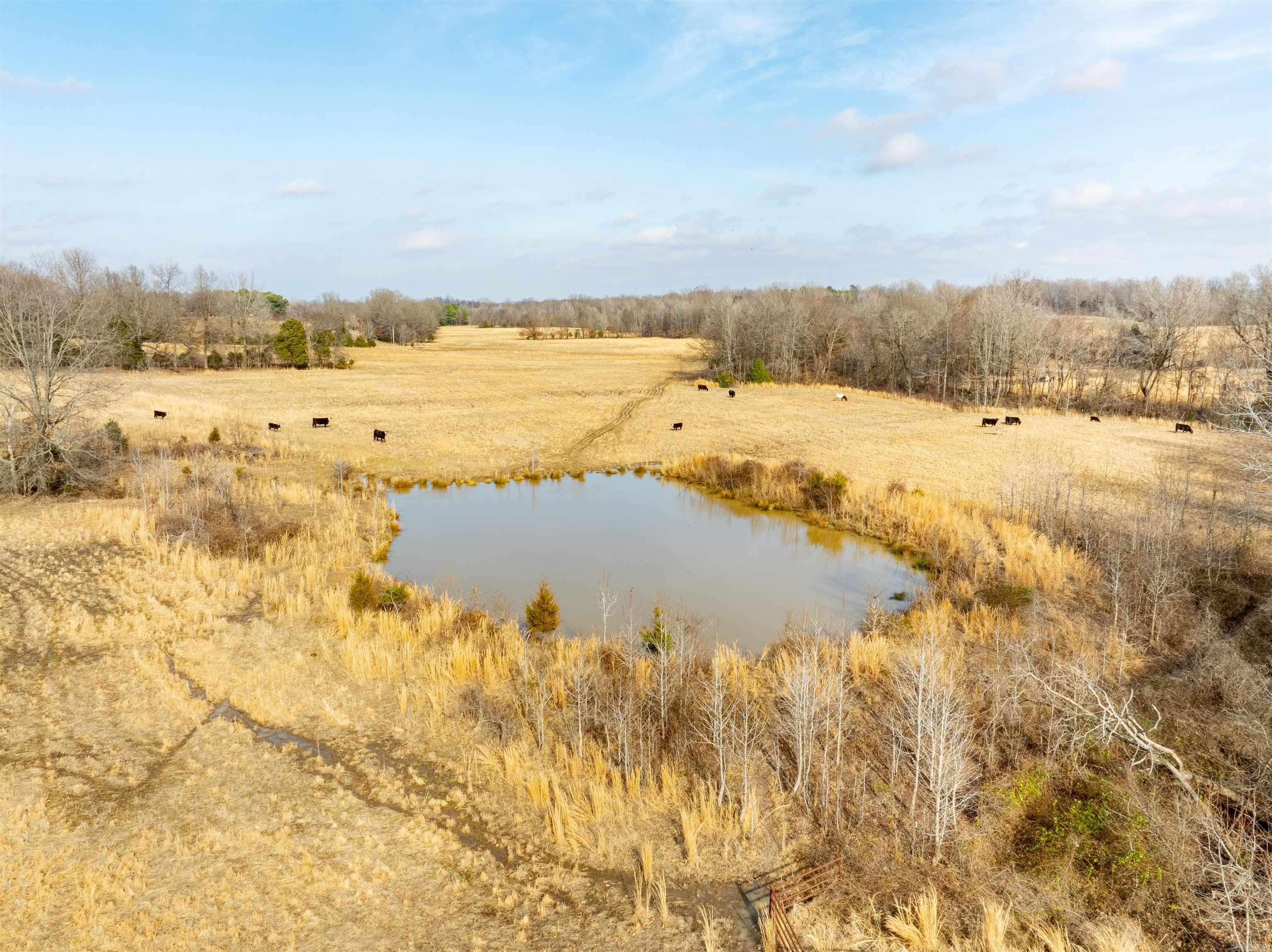 0  Clay 460 Rd  Piggott, AR