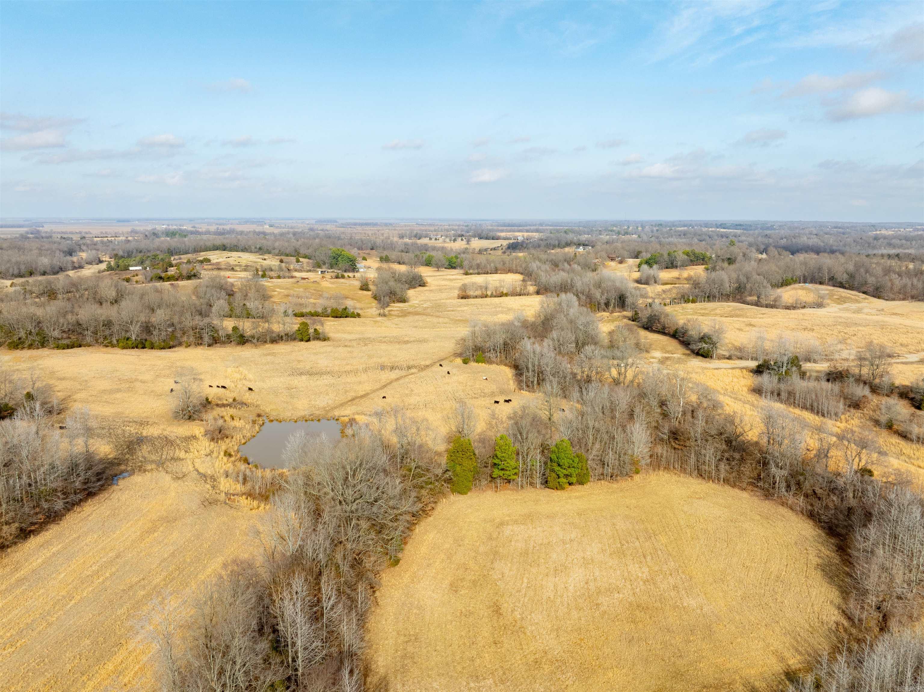 0  Clay 460 Rd  Piggott, AR