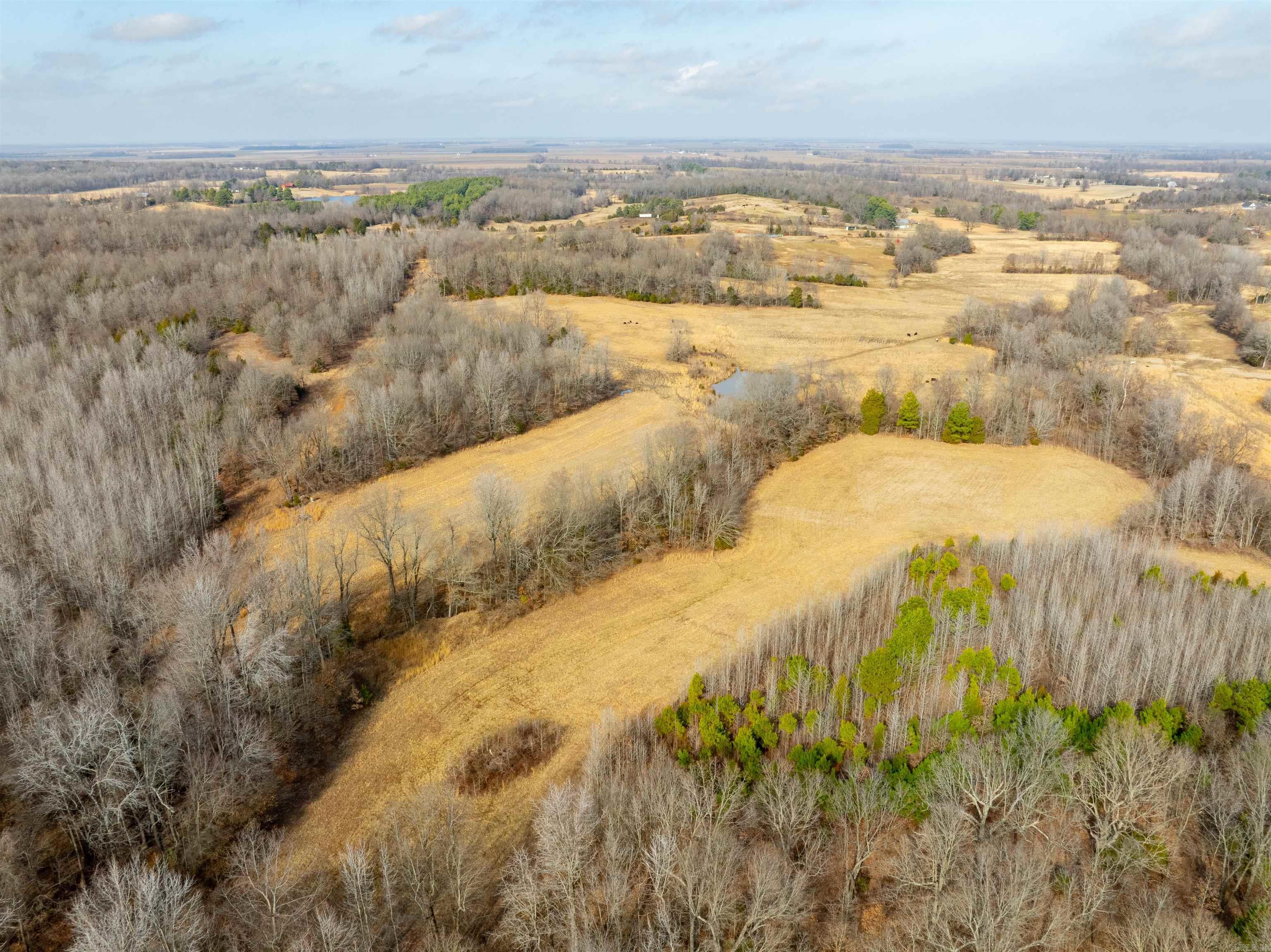 0  Clay 460 Rd  Piggott, AR