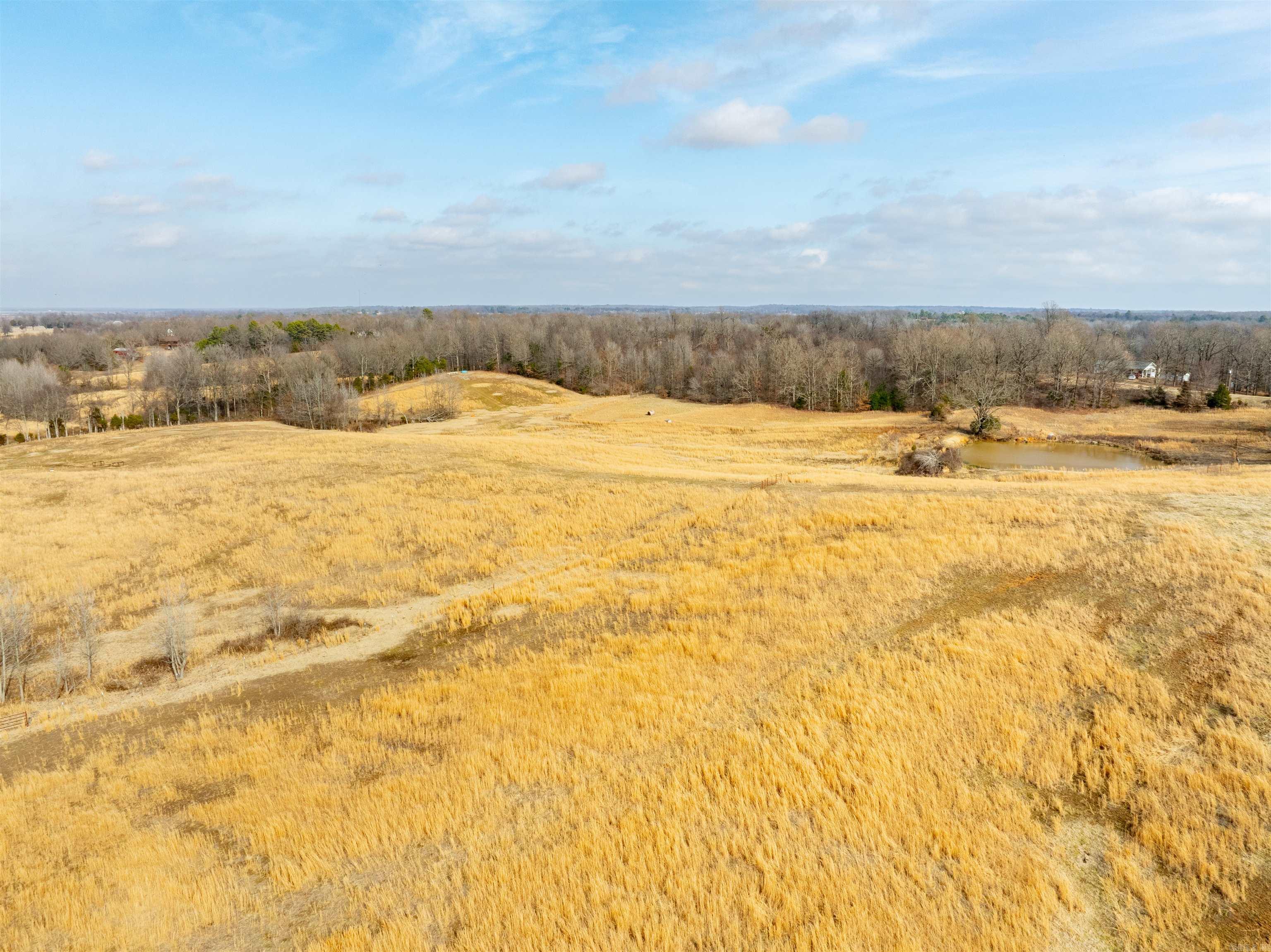 0  Clay 460 Rd  Piggott, AR