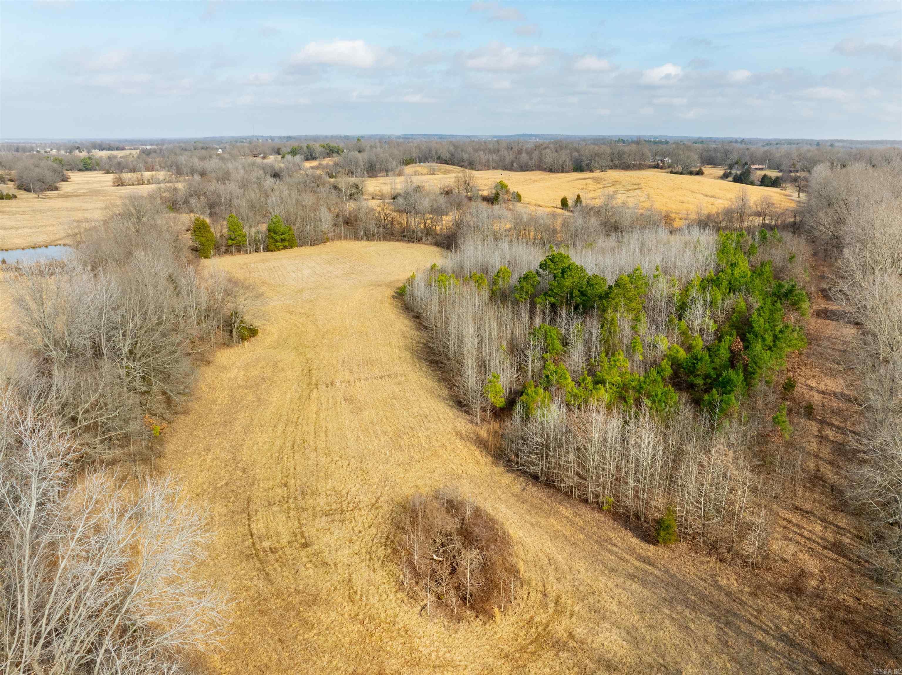 0  Clay 460 Rd  Piggott, AR