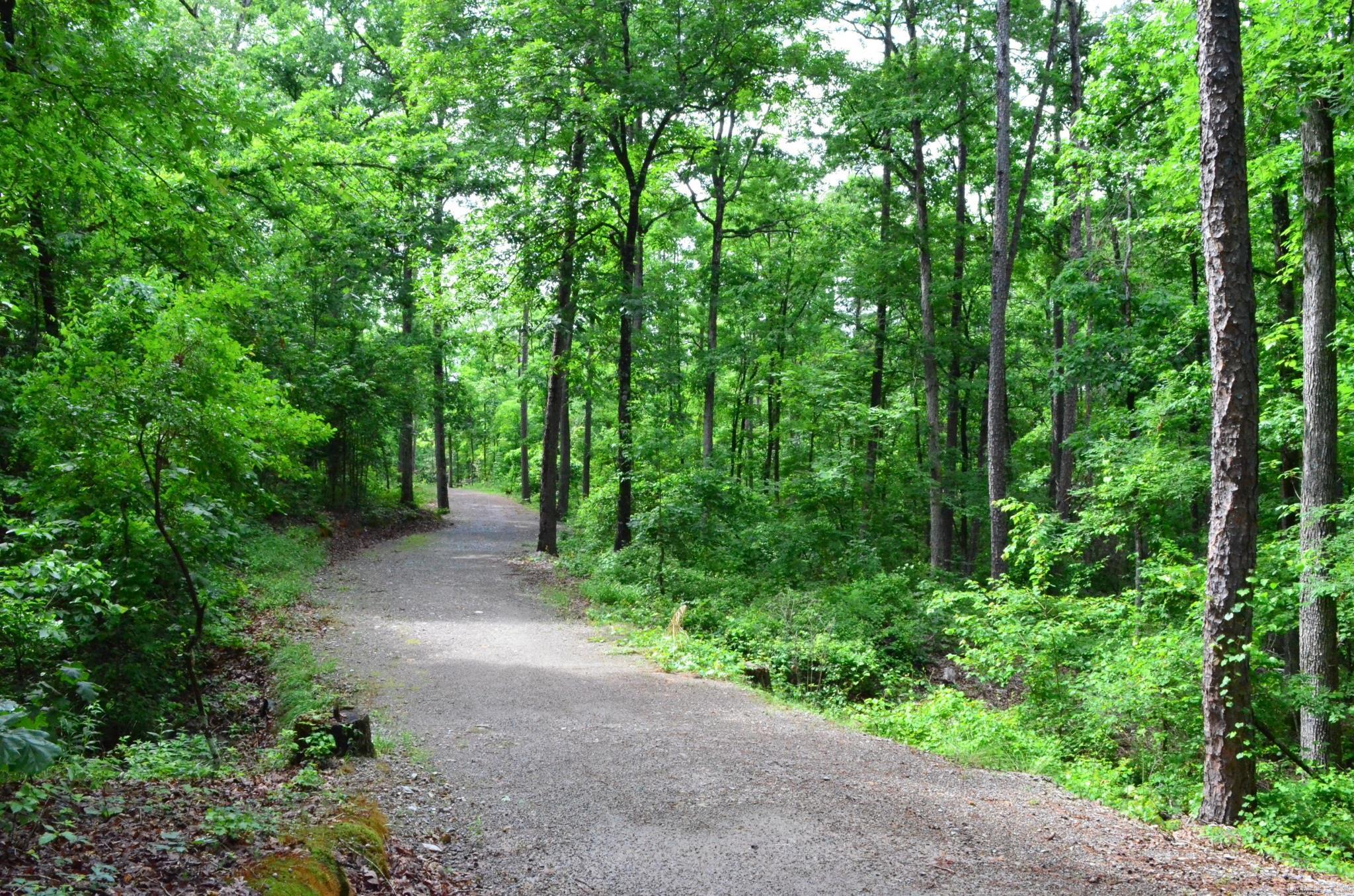 56  Estrella  Hot Springs Village, AR