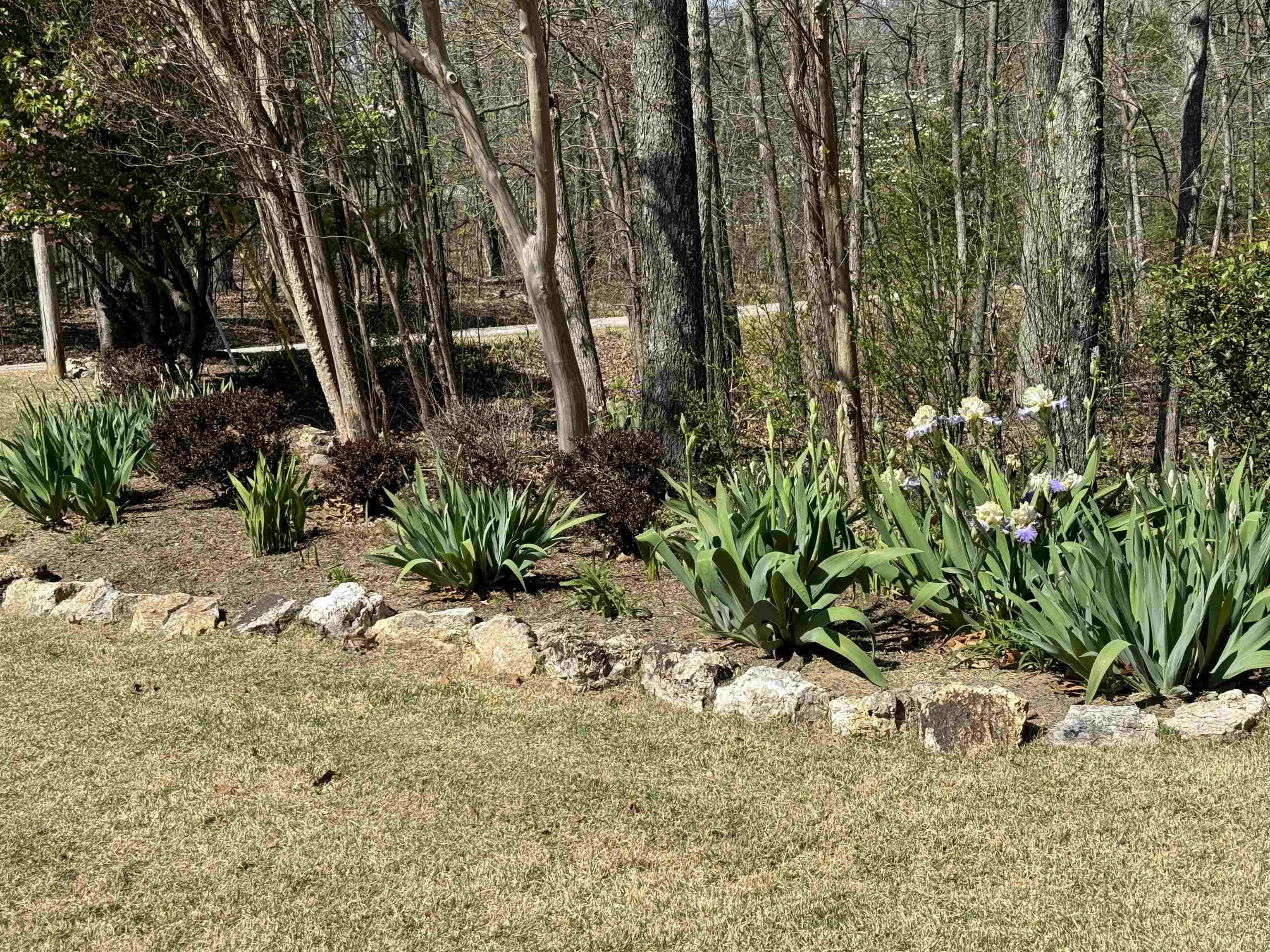 50  Spokane  Cherokee Village, AR