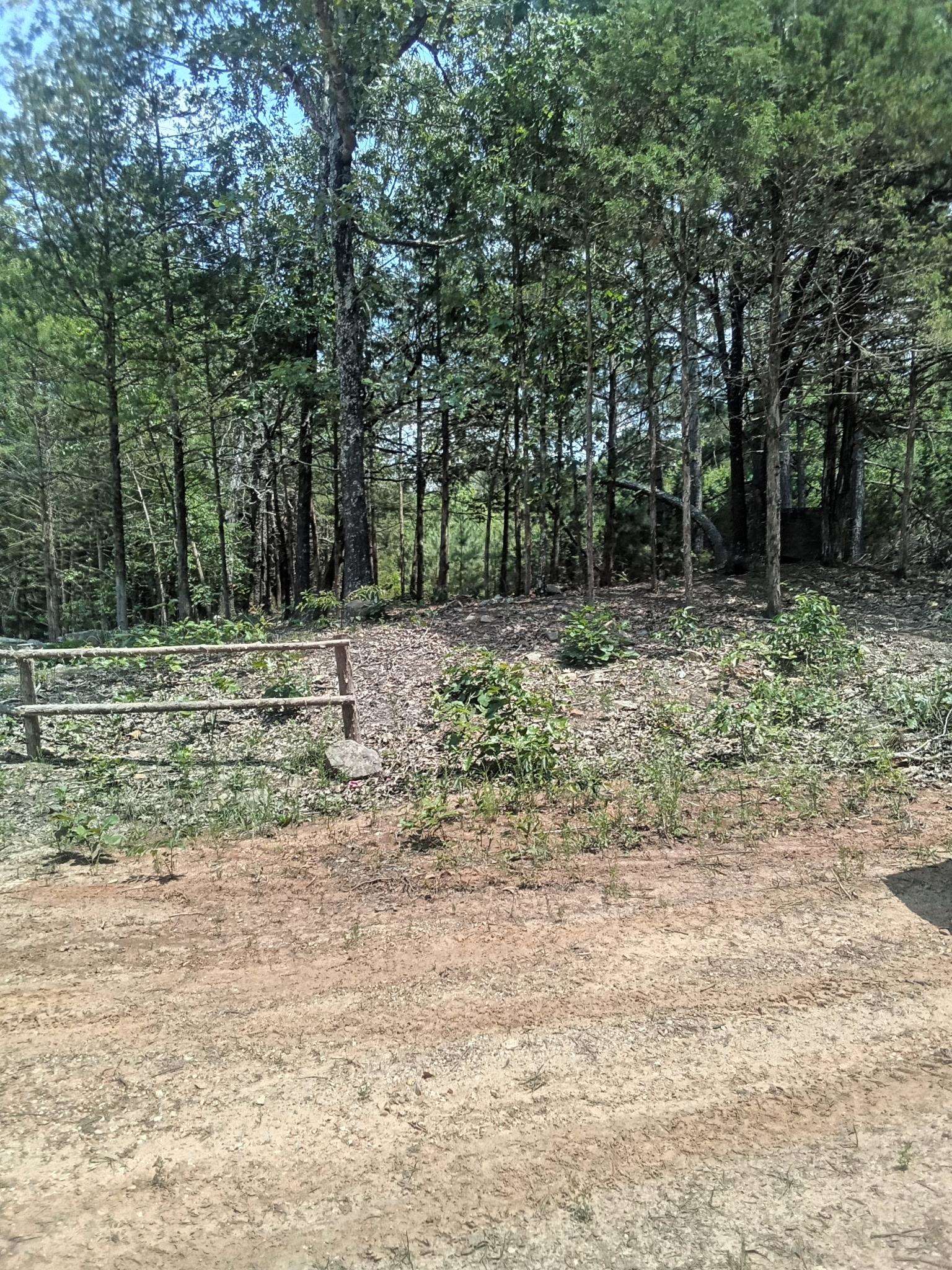 TBD  Piney Ridge Road  Glencoe, AR
