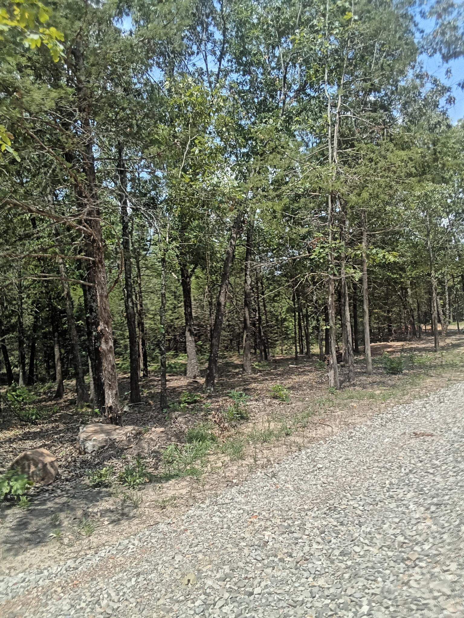 TBD  Piney Ridge Road  Glencoe, AR
