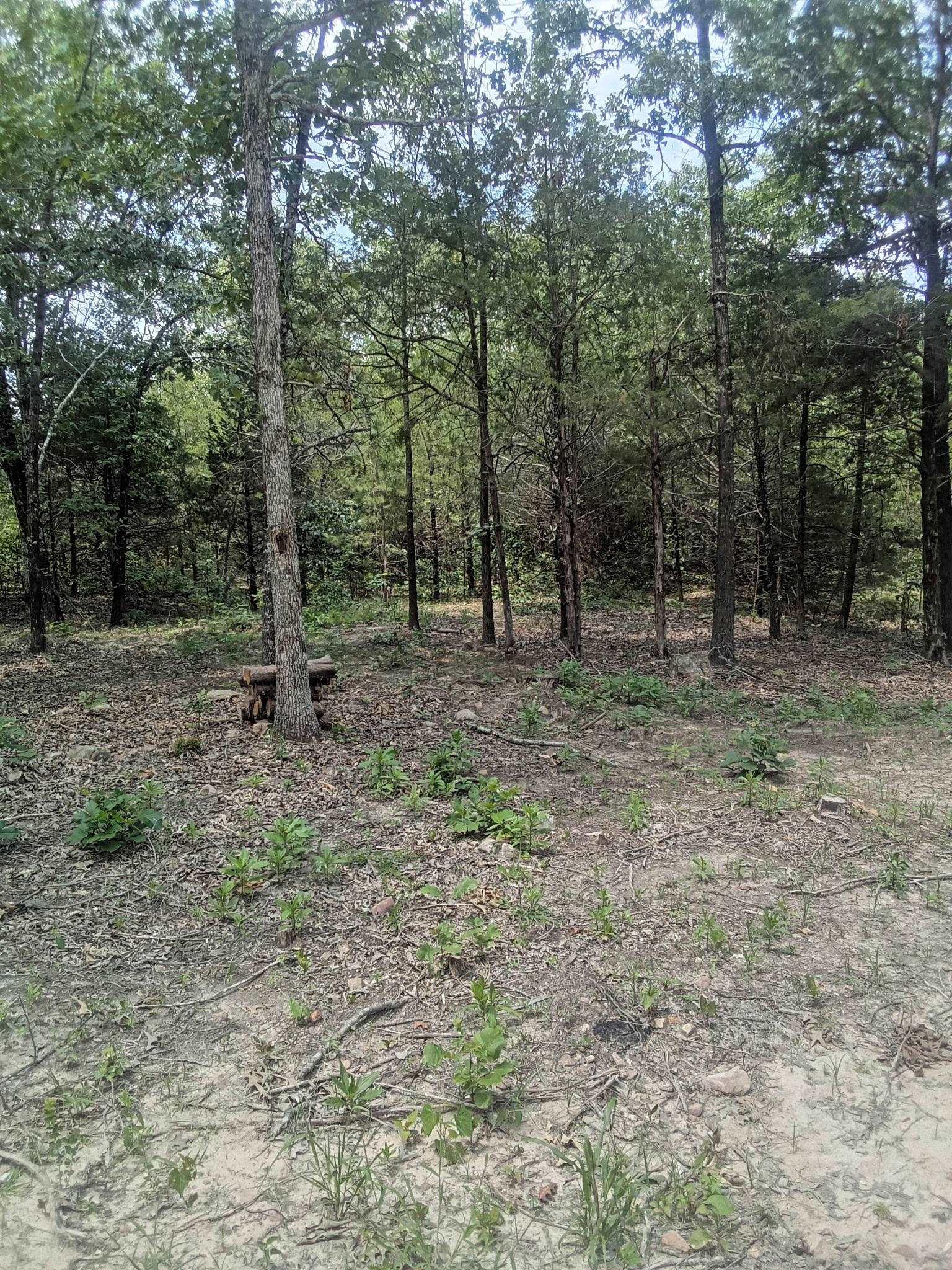 TBD  Piney Ridge Road  Glencoe, AR
