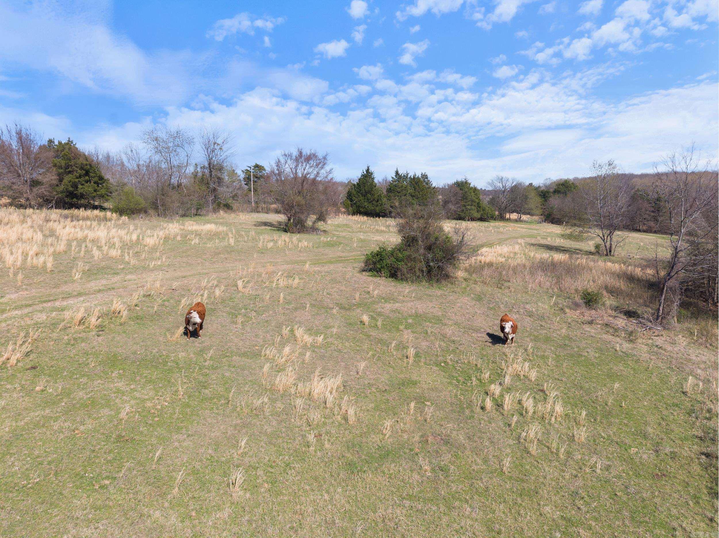 11  Hoggard  Enola, AR
