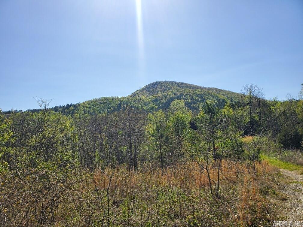 TBD  Highway 375 East  (Lot4)  Mena, AR