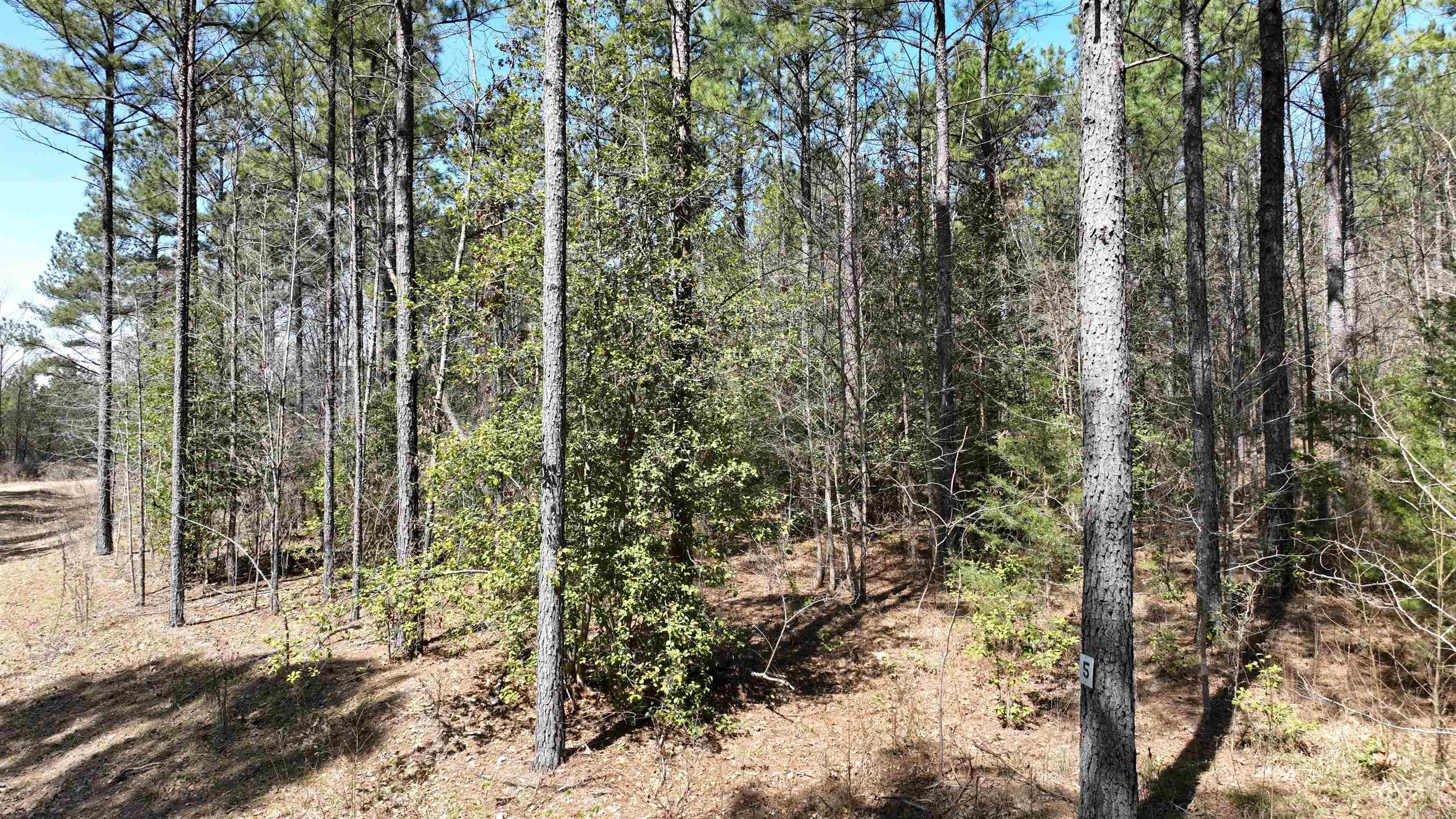 TBD  Highway 375 East  (Lot4)  Mena, AR