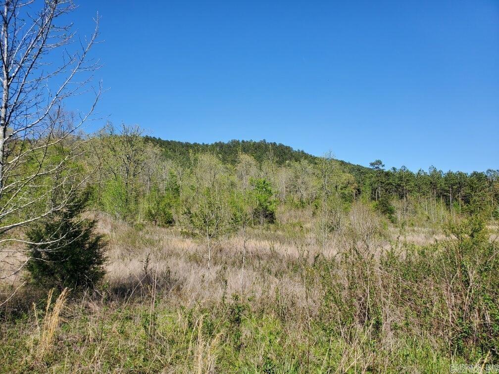 TBD  Highway 375 East  (Lot4)  Mena, AR