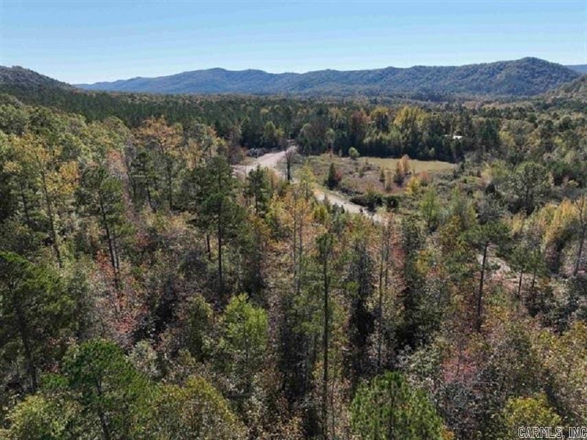 TBD  Highway 375 East  (Lot4)  Mena, AR
