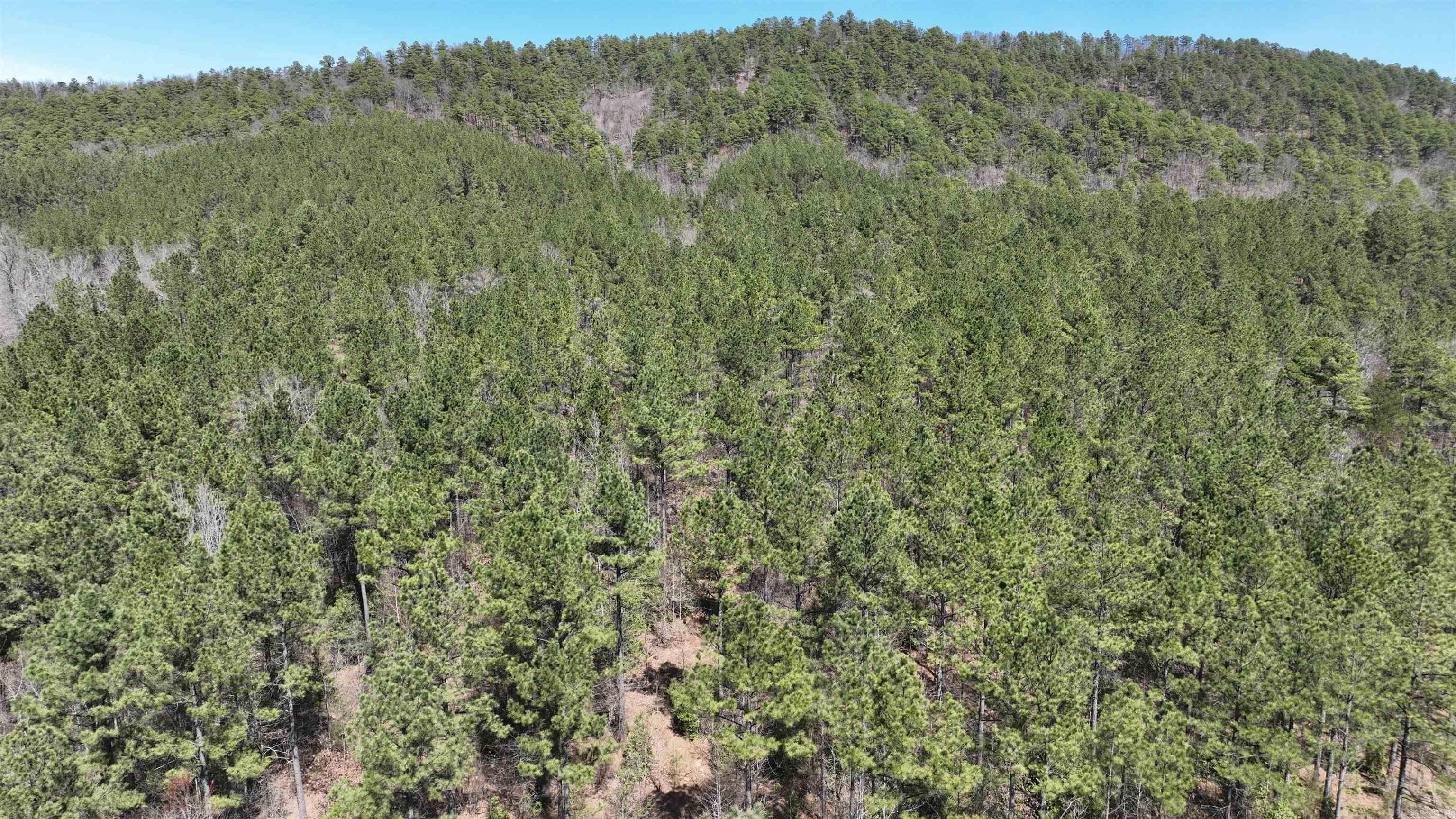 TBD  Highway 375 East  (Lot4)  Mena, AR
