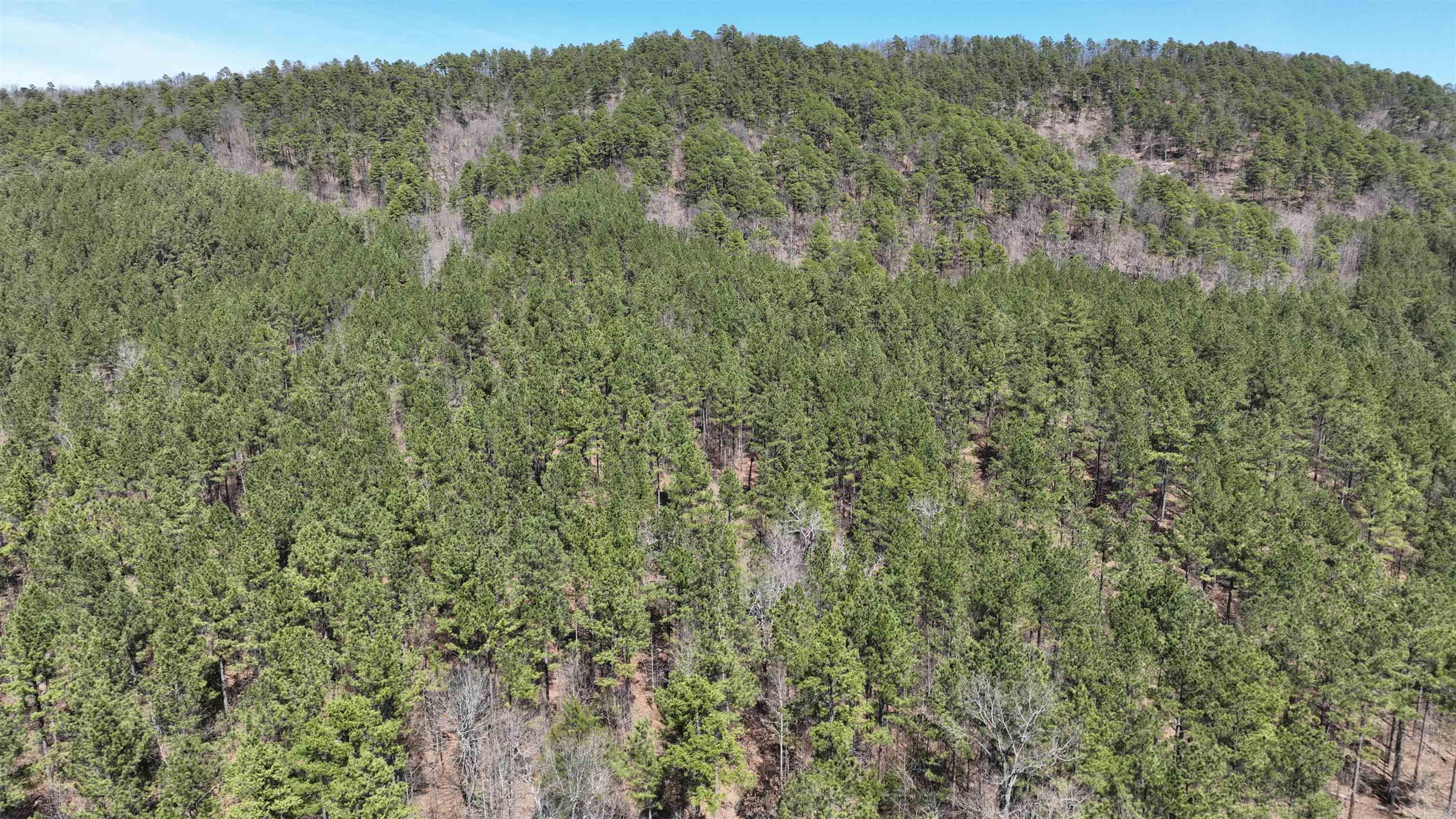 TBD  Highway 375 East    (Lot 5)  Mena, AR