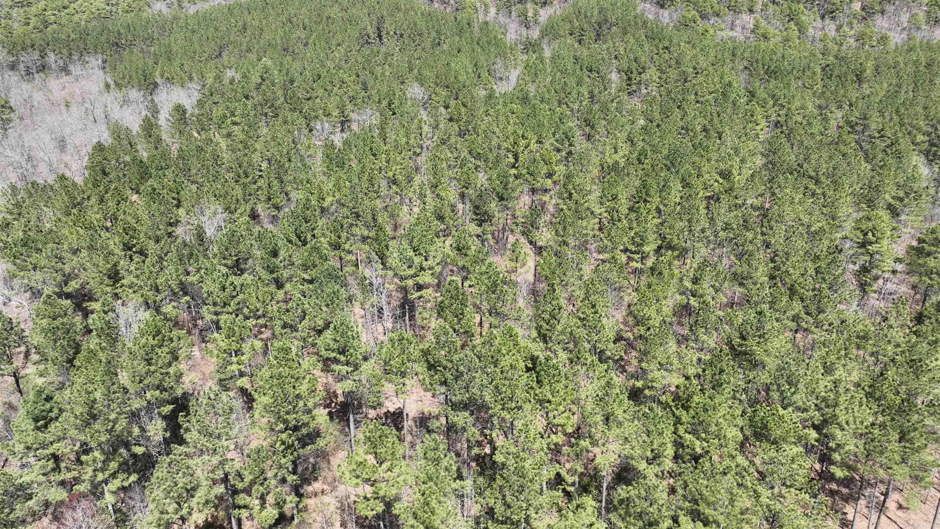 TBD  Highway 375 East    (Lot 5)  Mena, AR