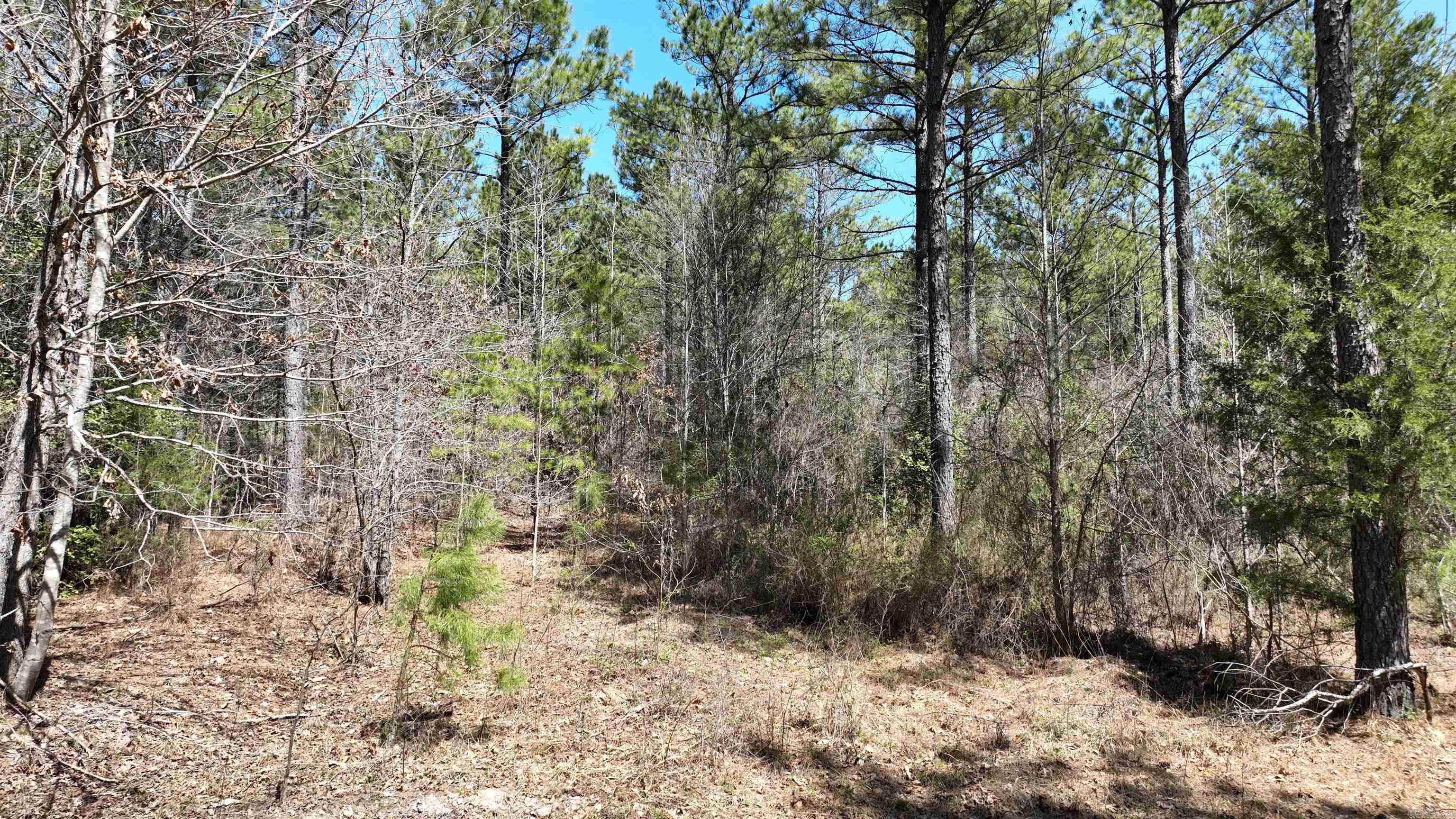 TBD  Highway 375 East    (Lot 5)  Mena, AR