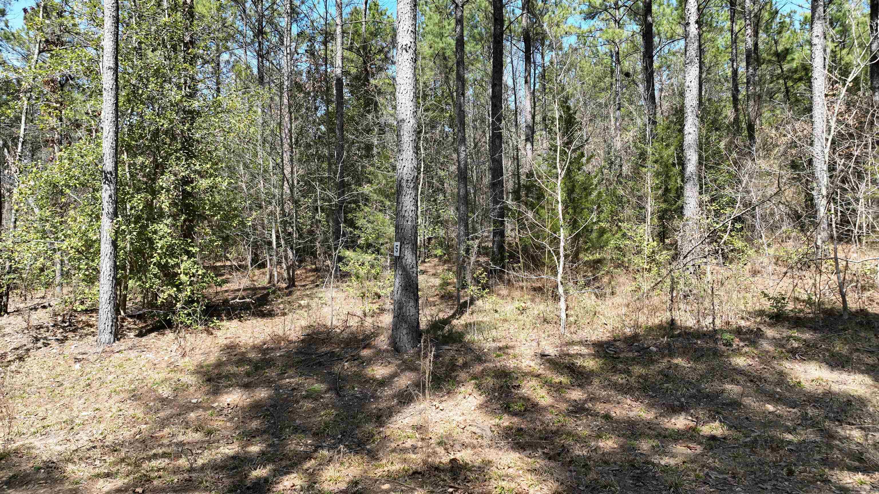 TBD  Highway 375 East    (Lot 5)  Mena, AR