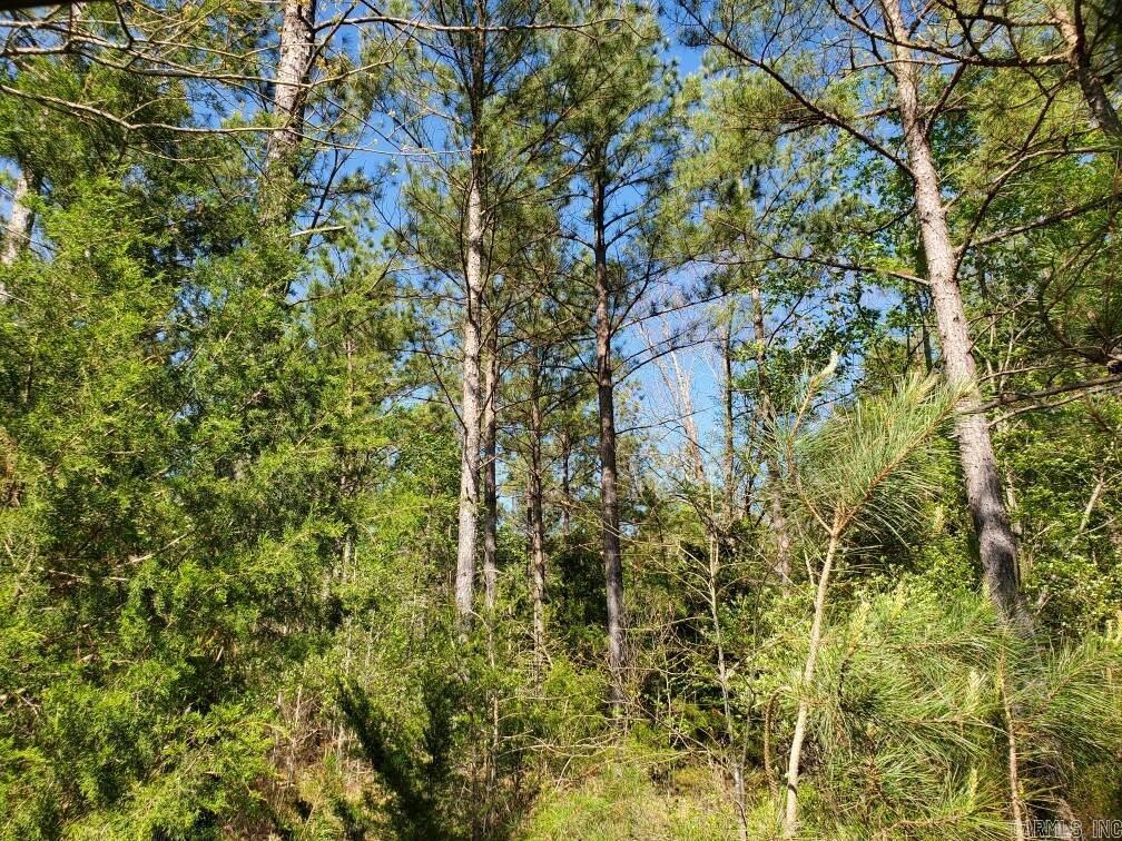 TBD  Highway 375 East    (Lot 6)  Mena, AR