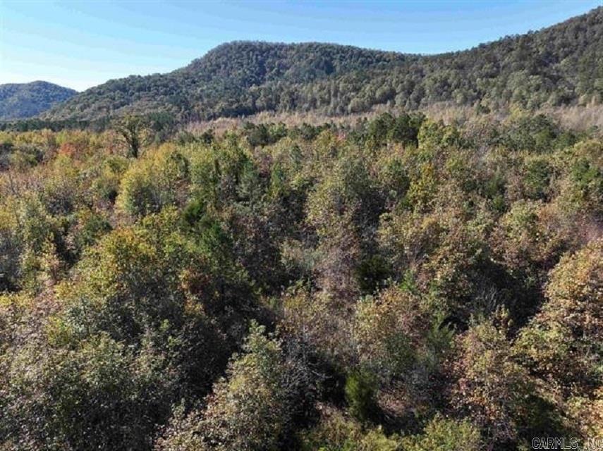 TBD  Highway 375 East    (Lot 6)  Mena, AR