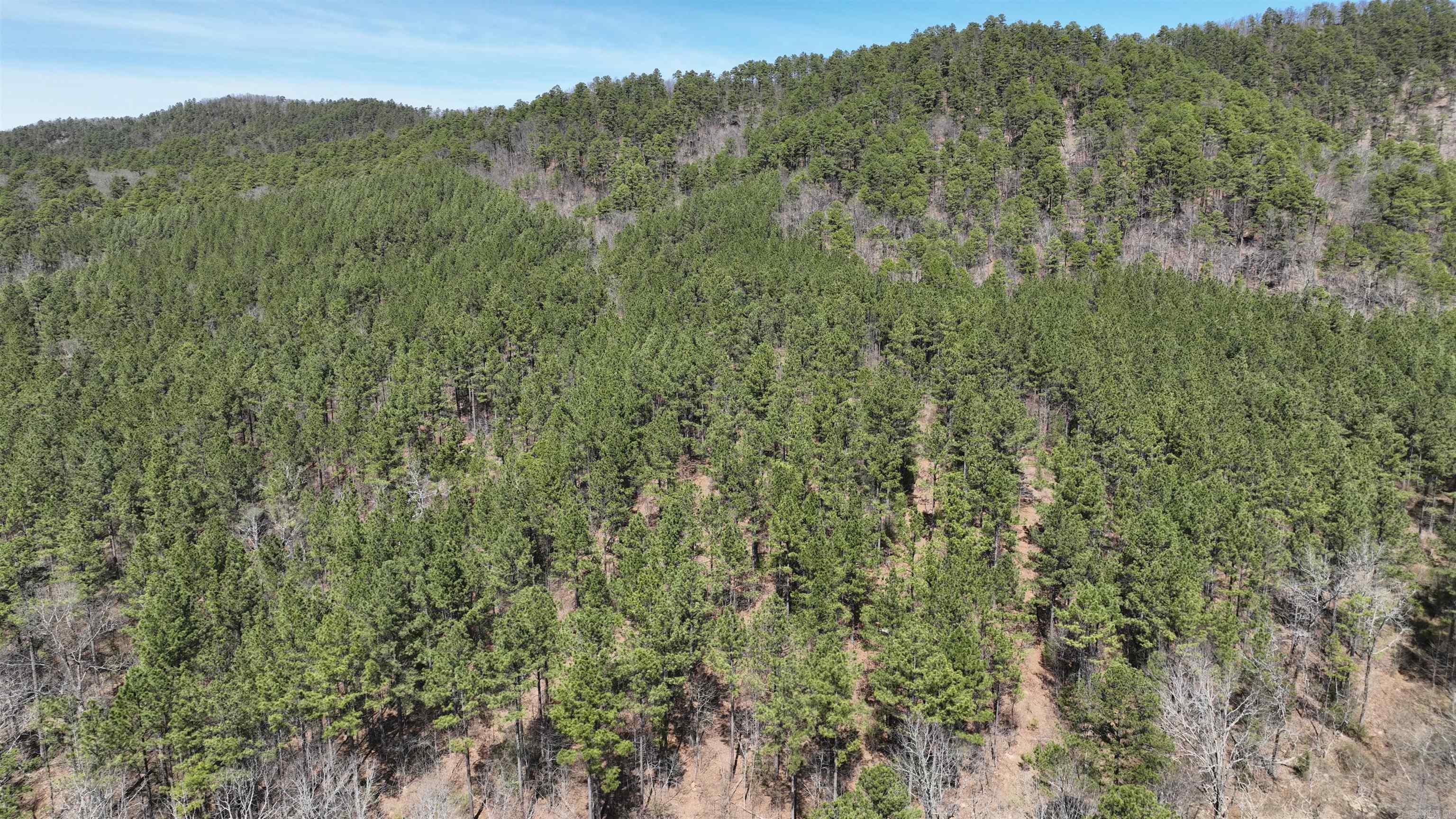 TBD  Highway 375 East    (Lot 6)  Mena, AR