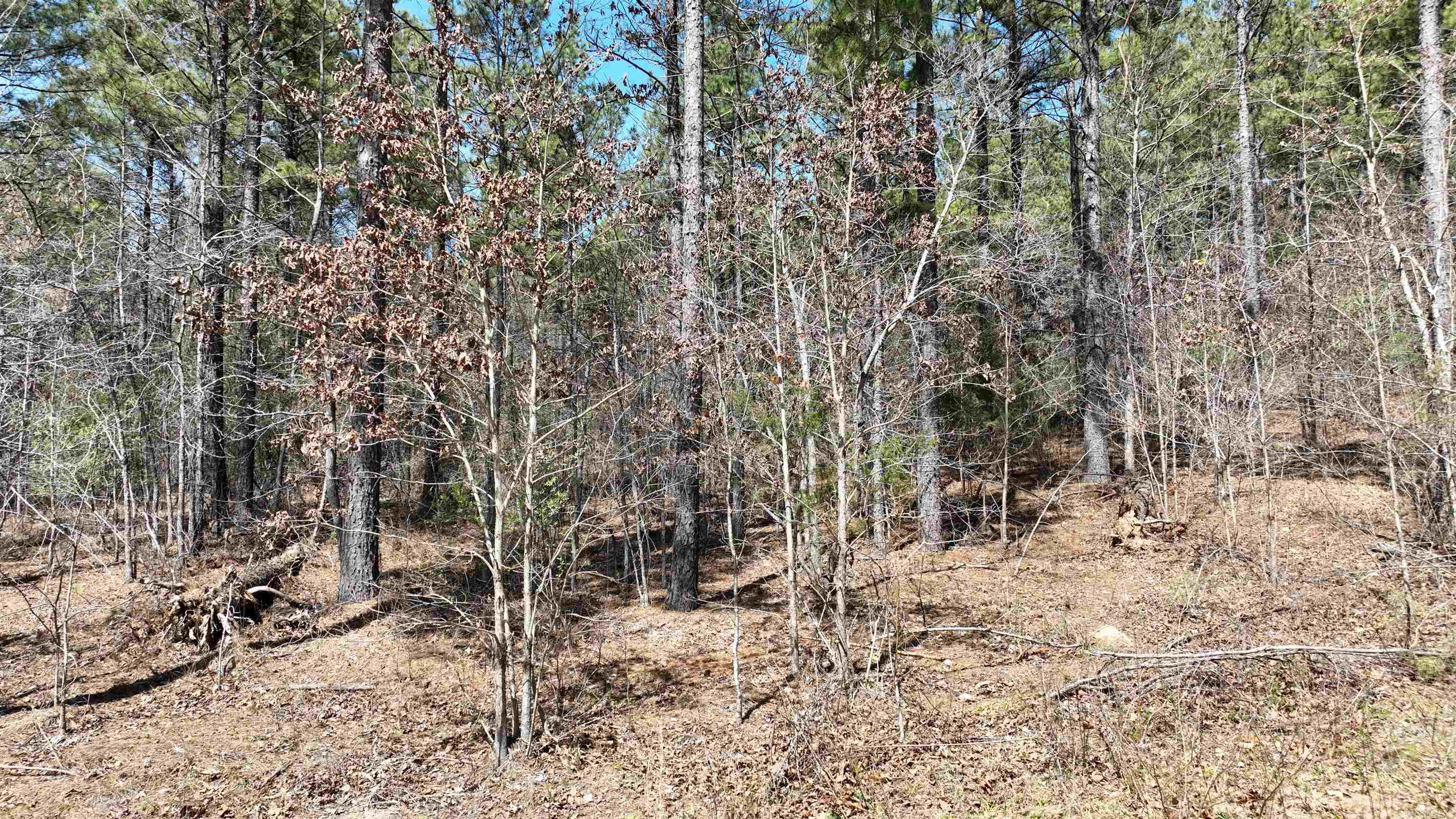TBD  Highway 375 East    (Lot 6)  Mena, AR