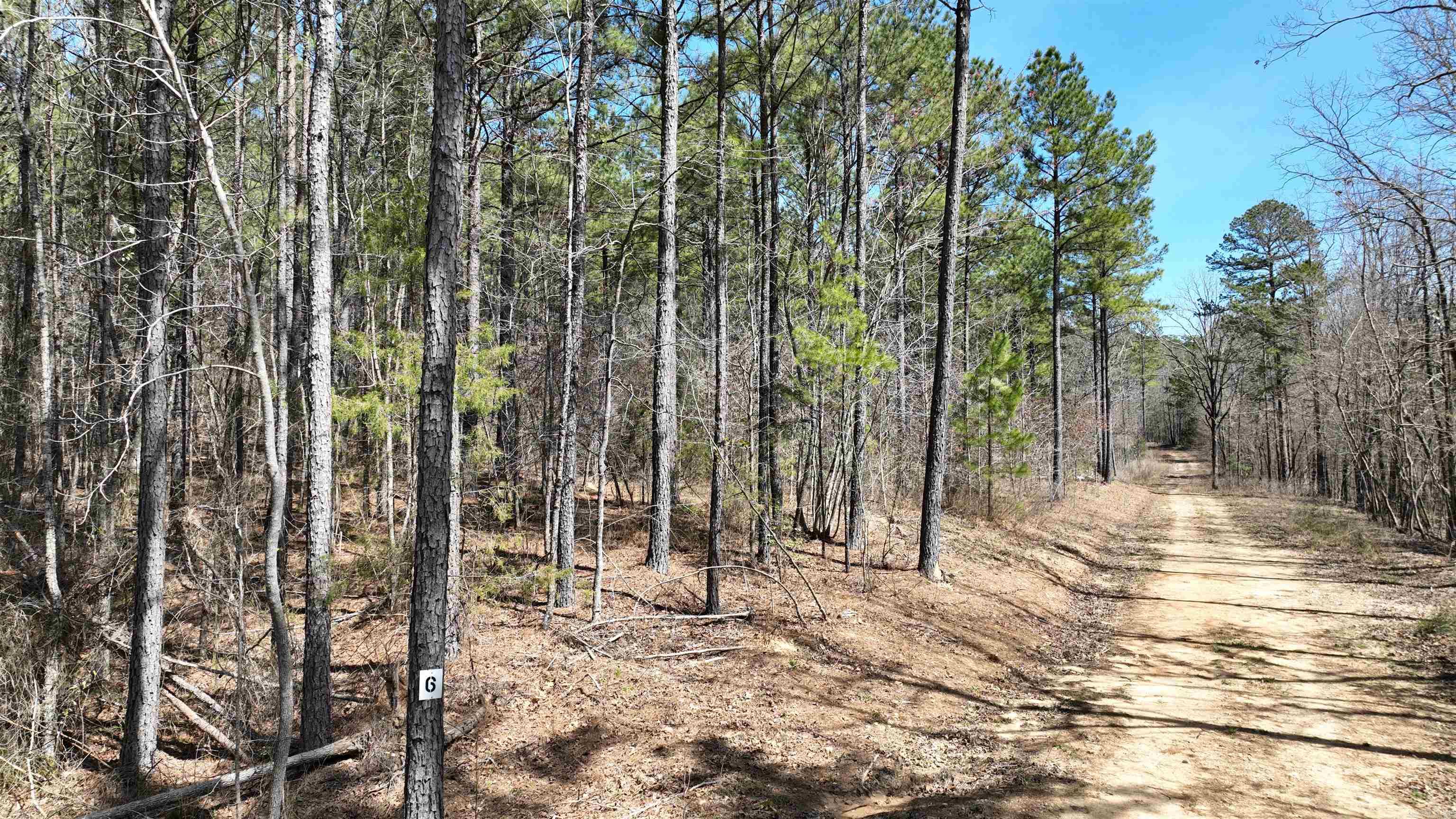TBD  Highway 375 East    (Lot 6)  Mena, AR