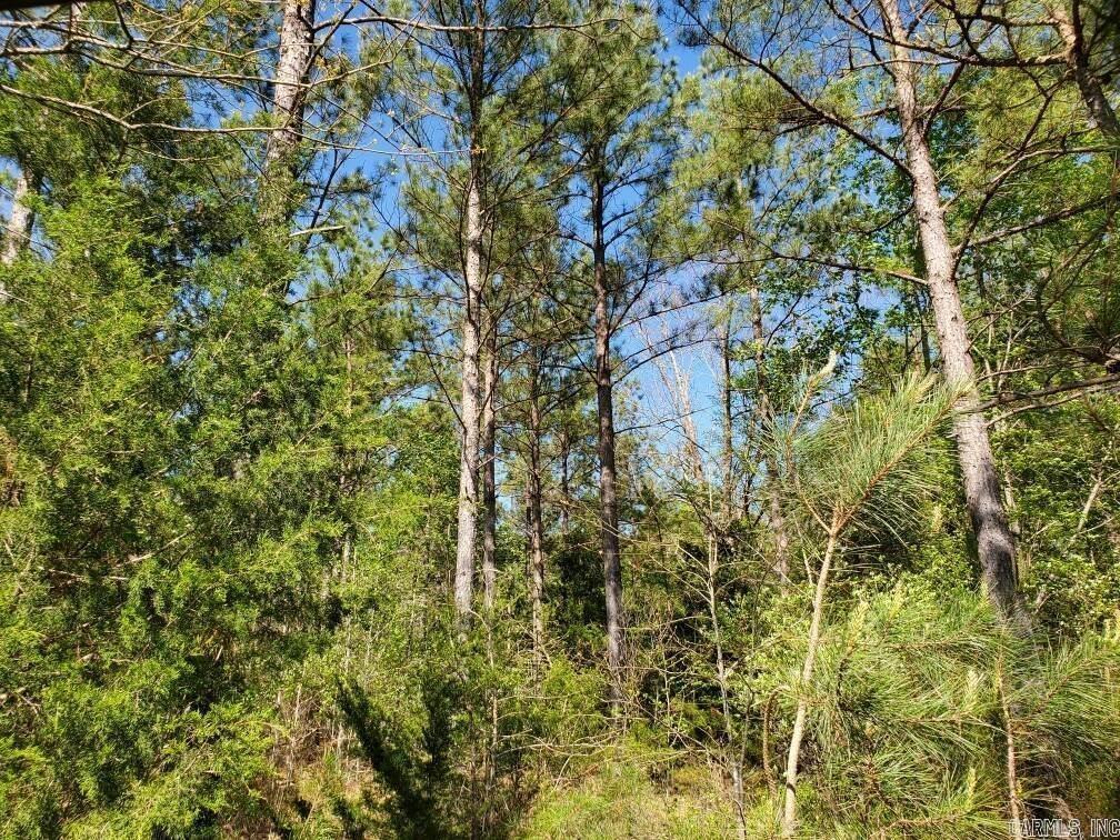 TBD  Highway 375 East    ( Lot 7)  Mena, AR