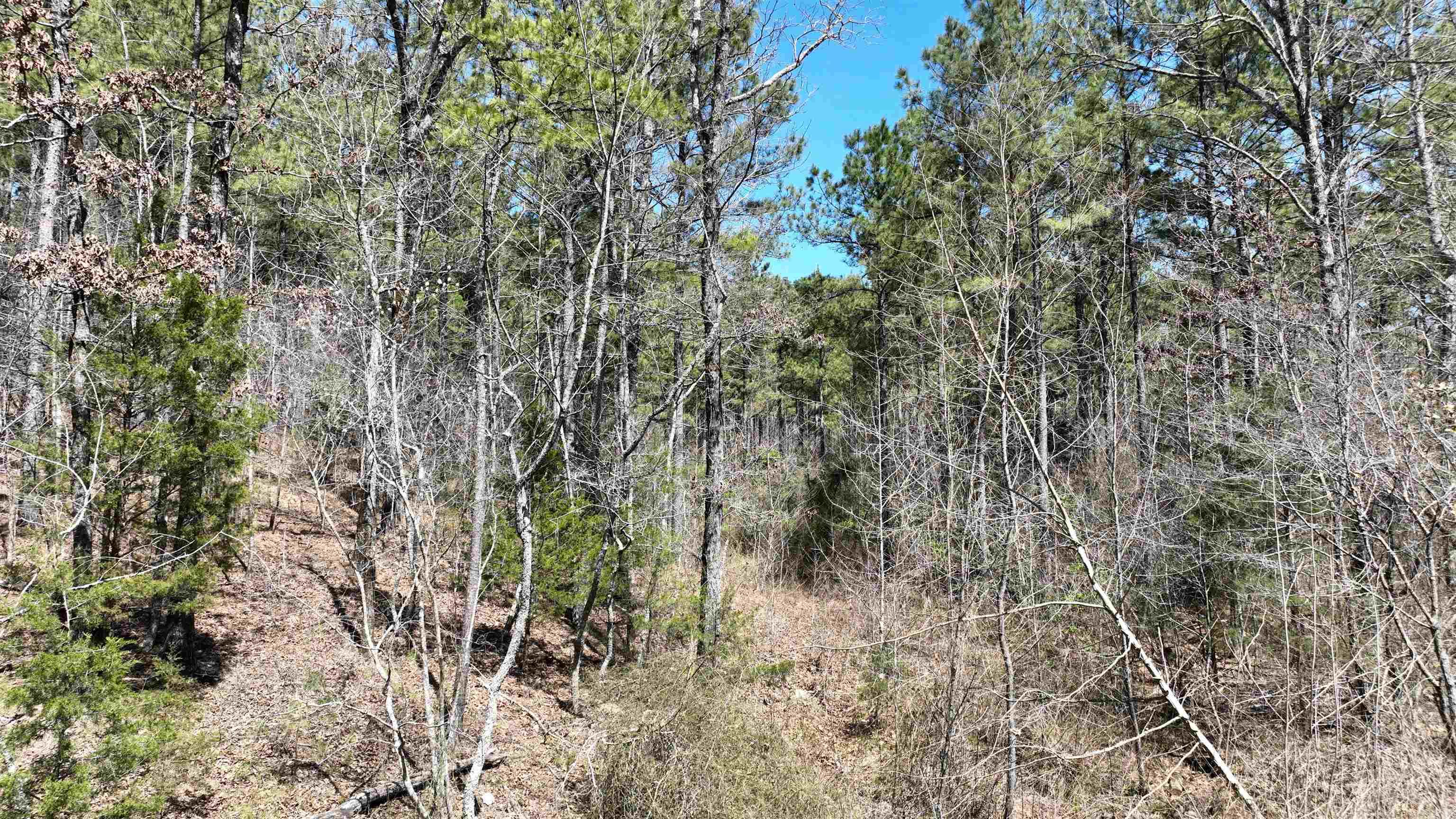TBD  Highway 375 East    ( Lot 7)  Mena, AR