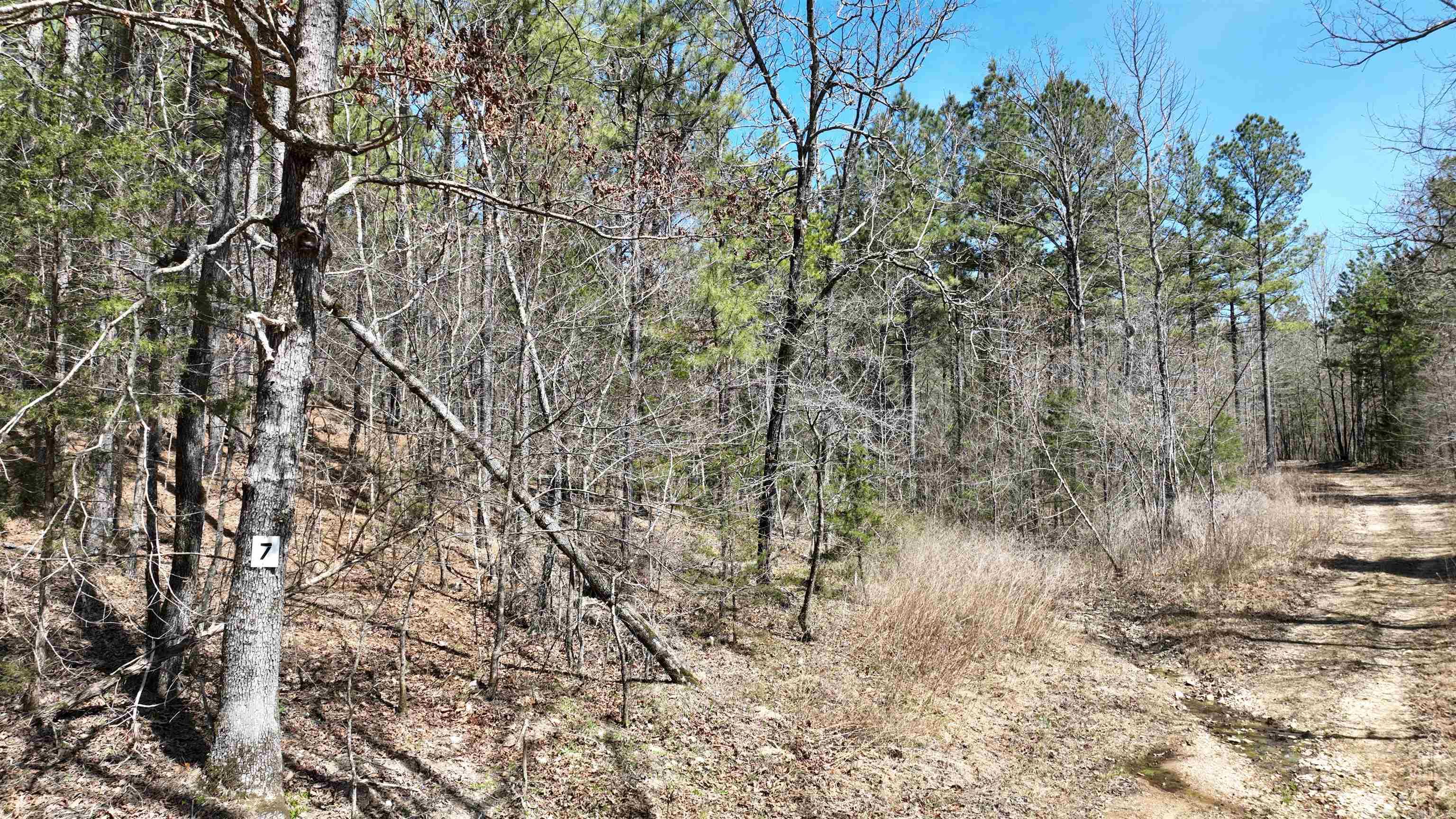 TBD  Highway 375 East    ( Lot 7)  Mena, AR