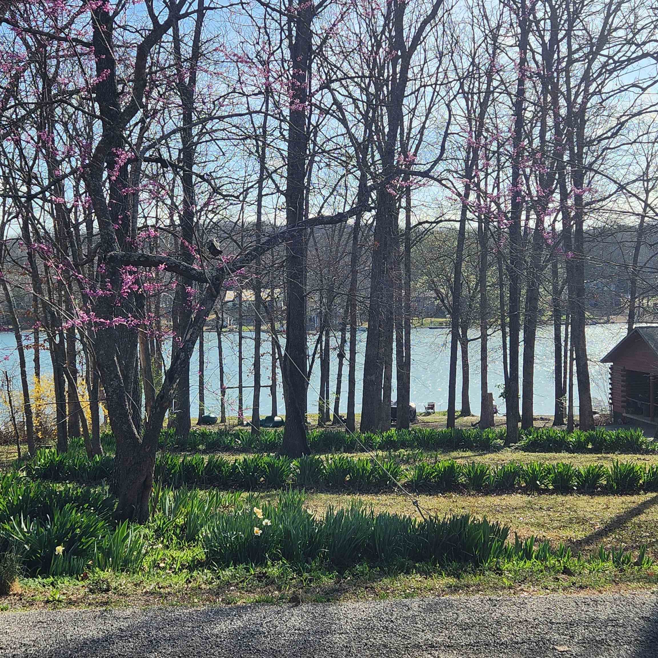  W Lakeshore  Cherokee Village, AR