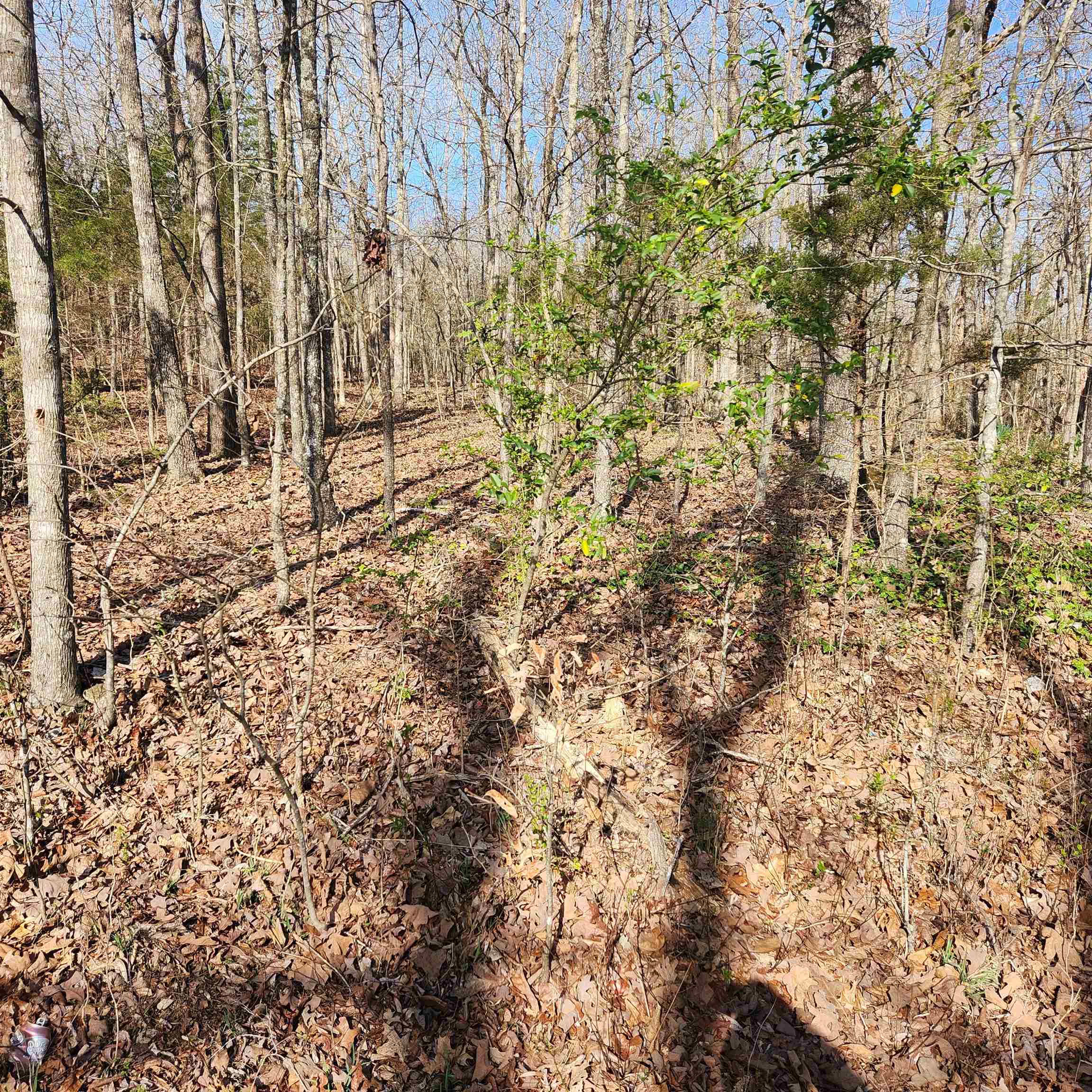  W Lakeshore  Cherokee Village, AR