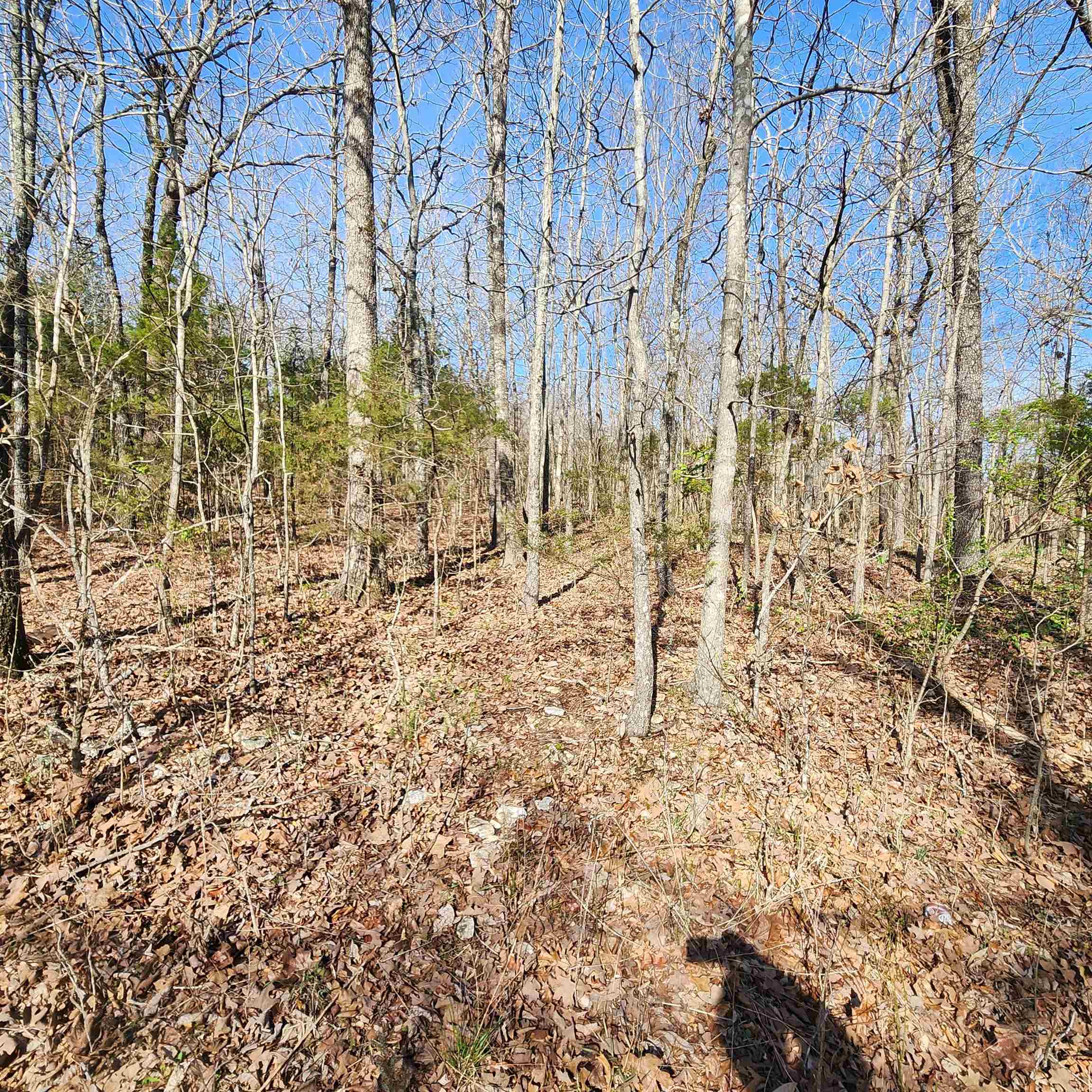  W Lakeshore  Cherokee Village, AR