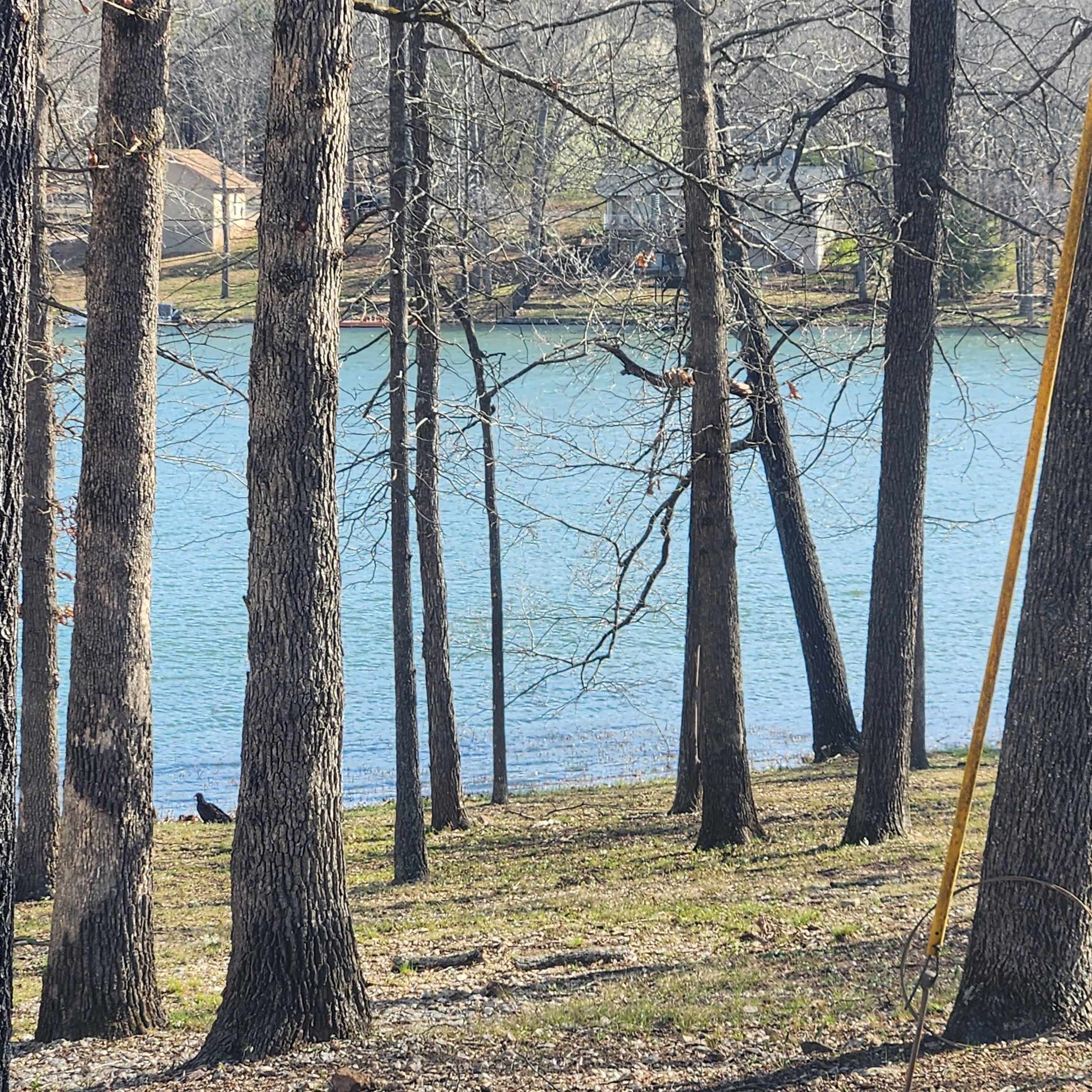  W Lakeshore  Cherokee Village, AR