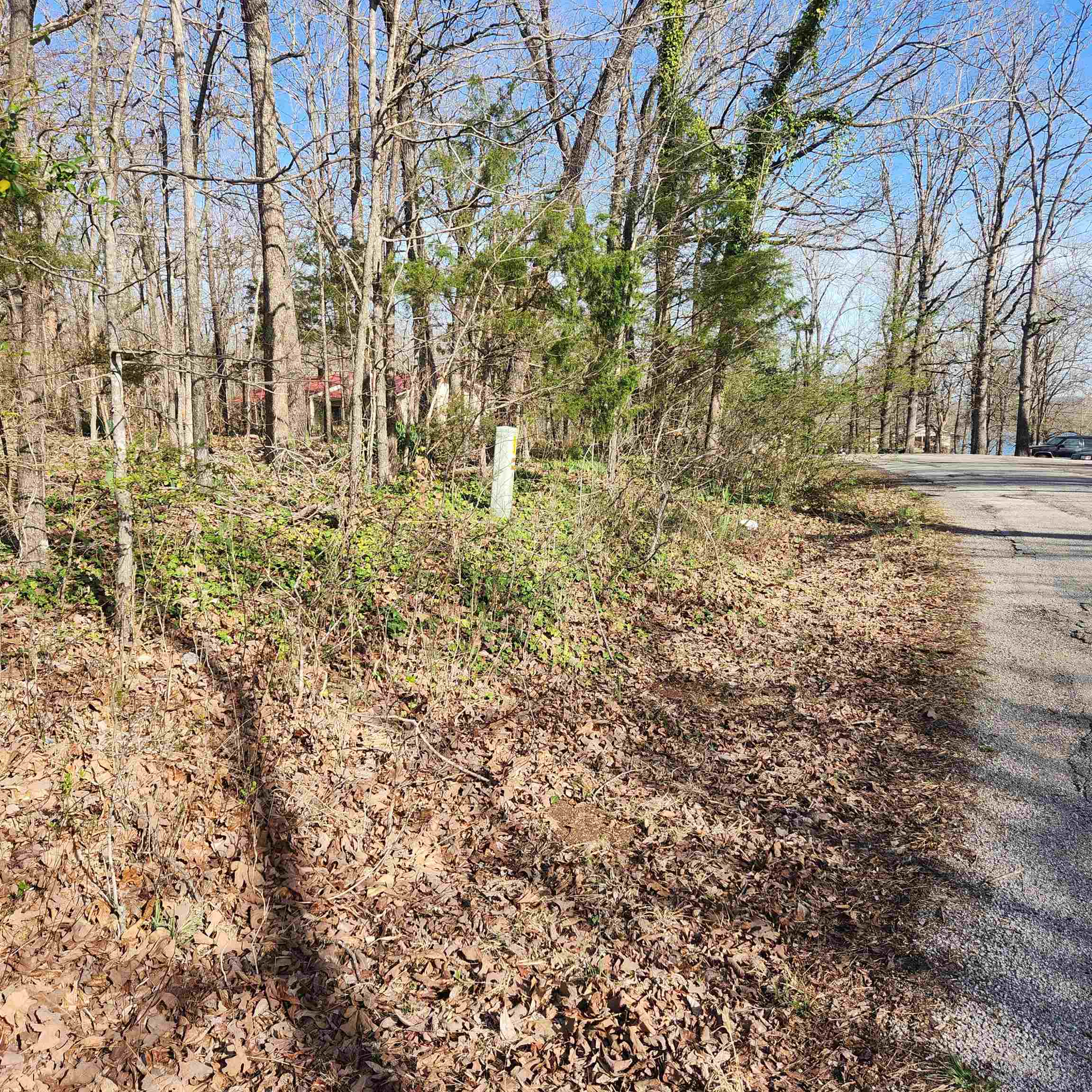  W Lakeshore  Cherokee Village, AR