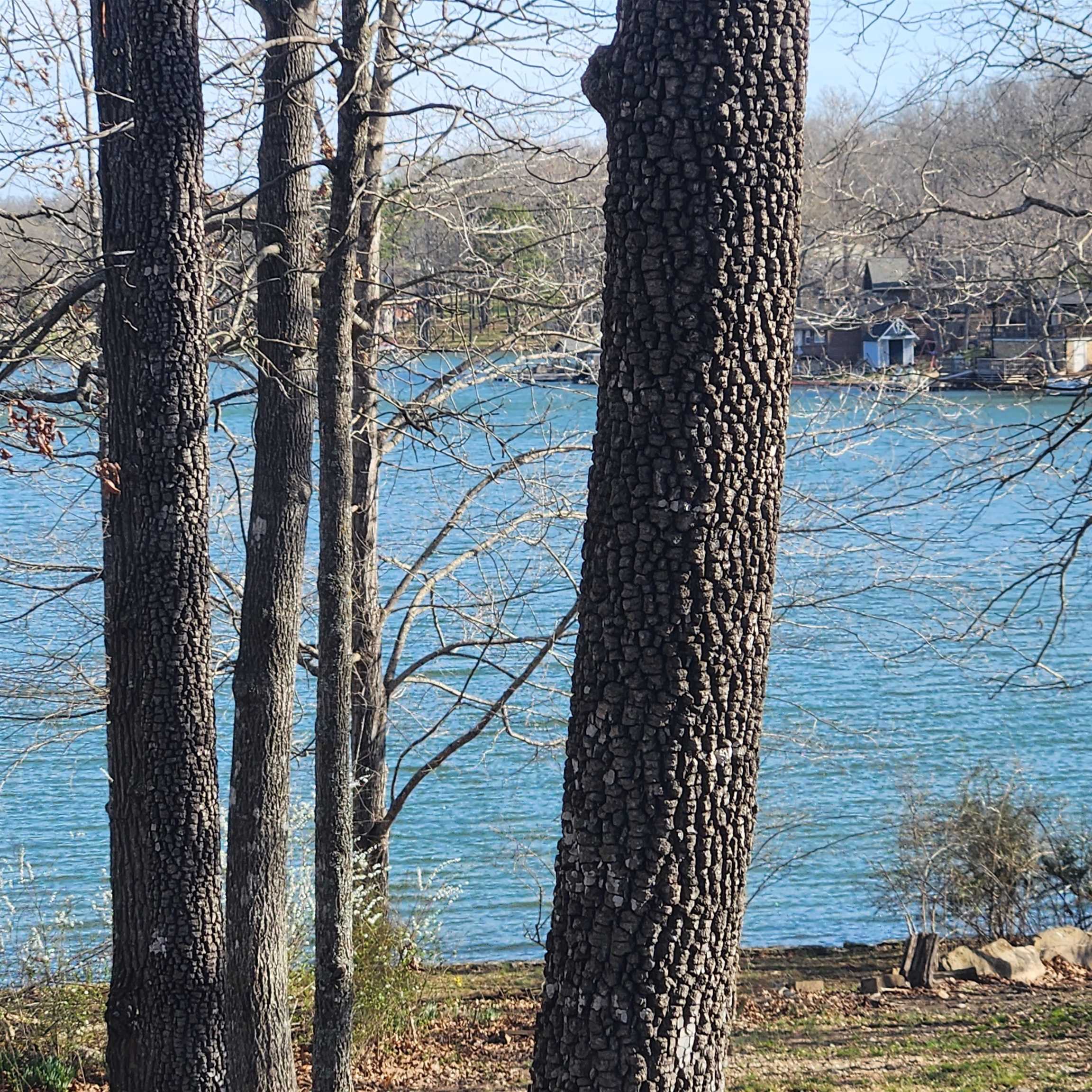  W Lakeshore  Cherokee Village, AR