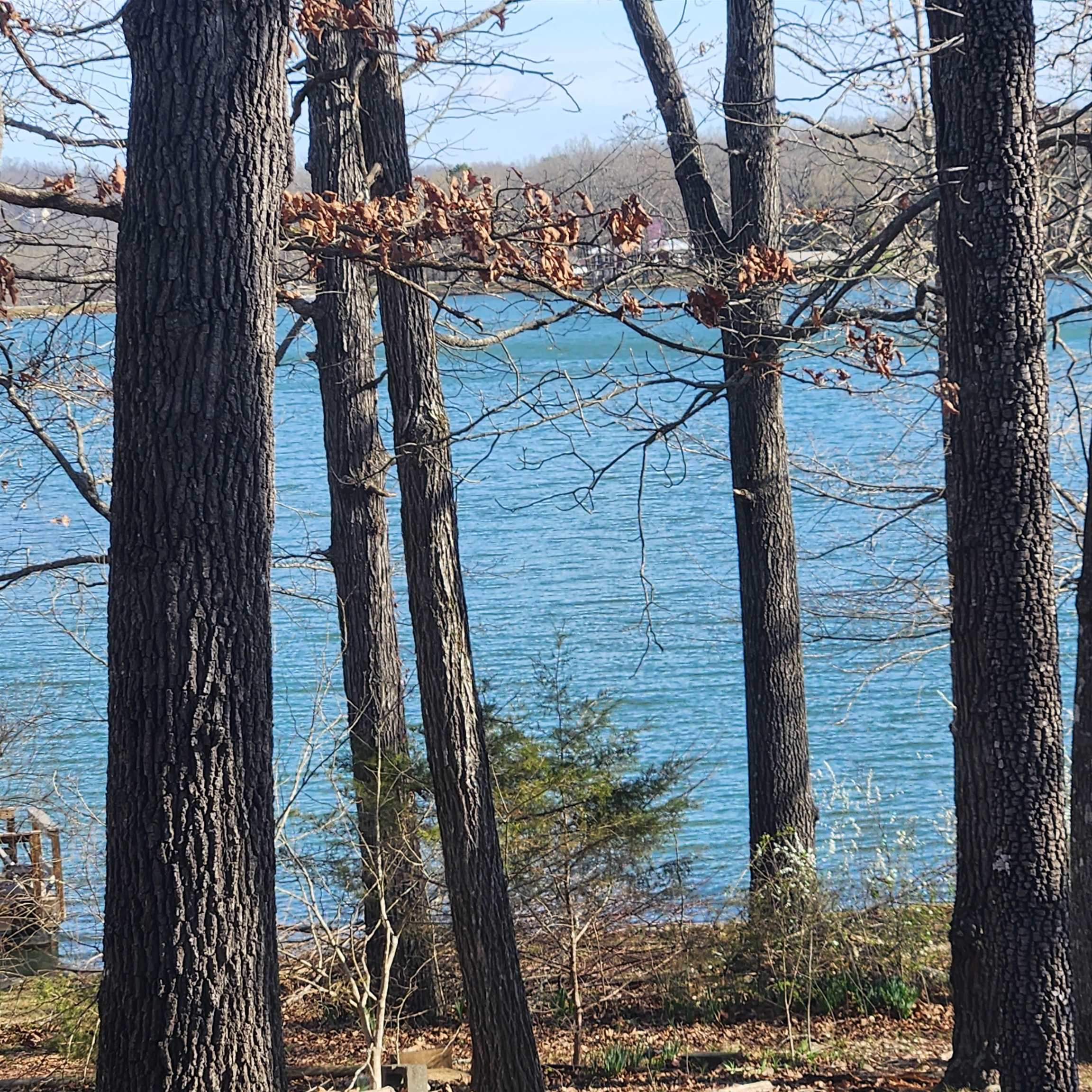  W Lakeshore  Cherokee Village, AR